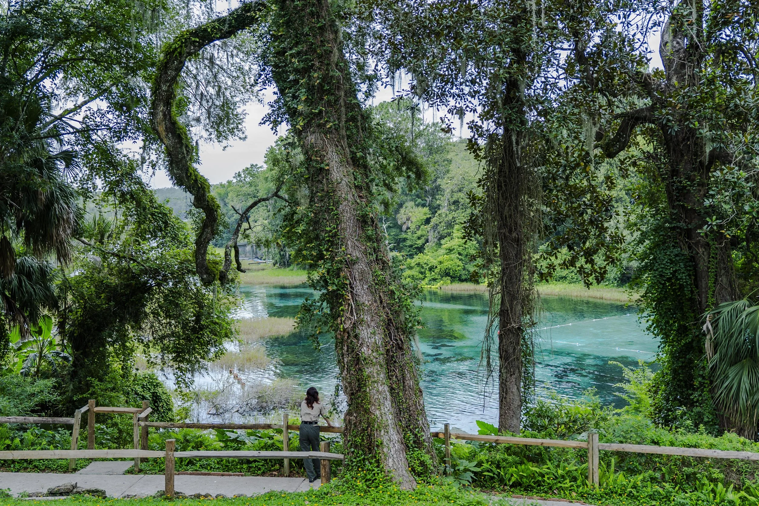 6-29-24 Rainbow Springs SP -3.jpg