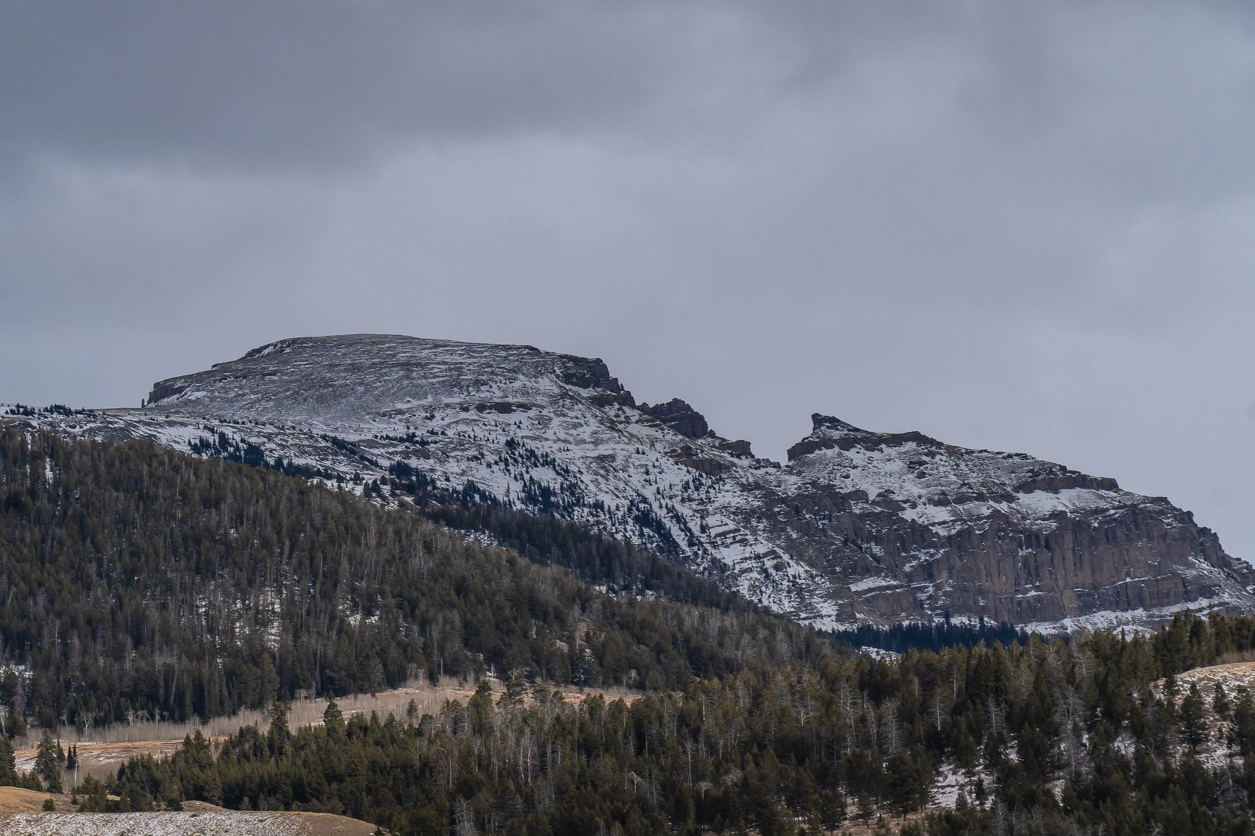 11-14-24 National Elk Refuge-74.jpg