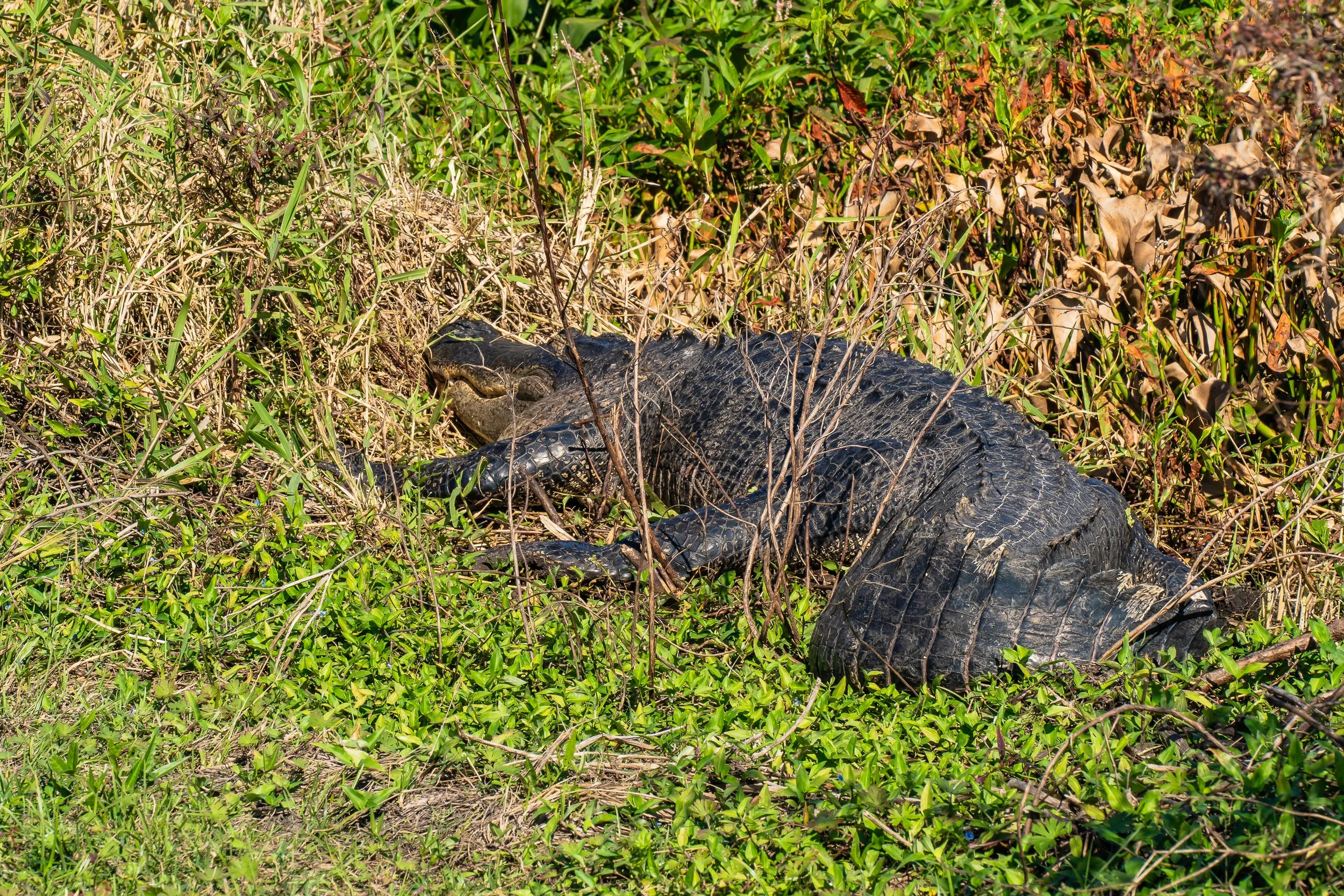 11-30-24 Circle B Bar Reserve-7.jpg