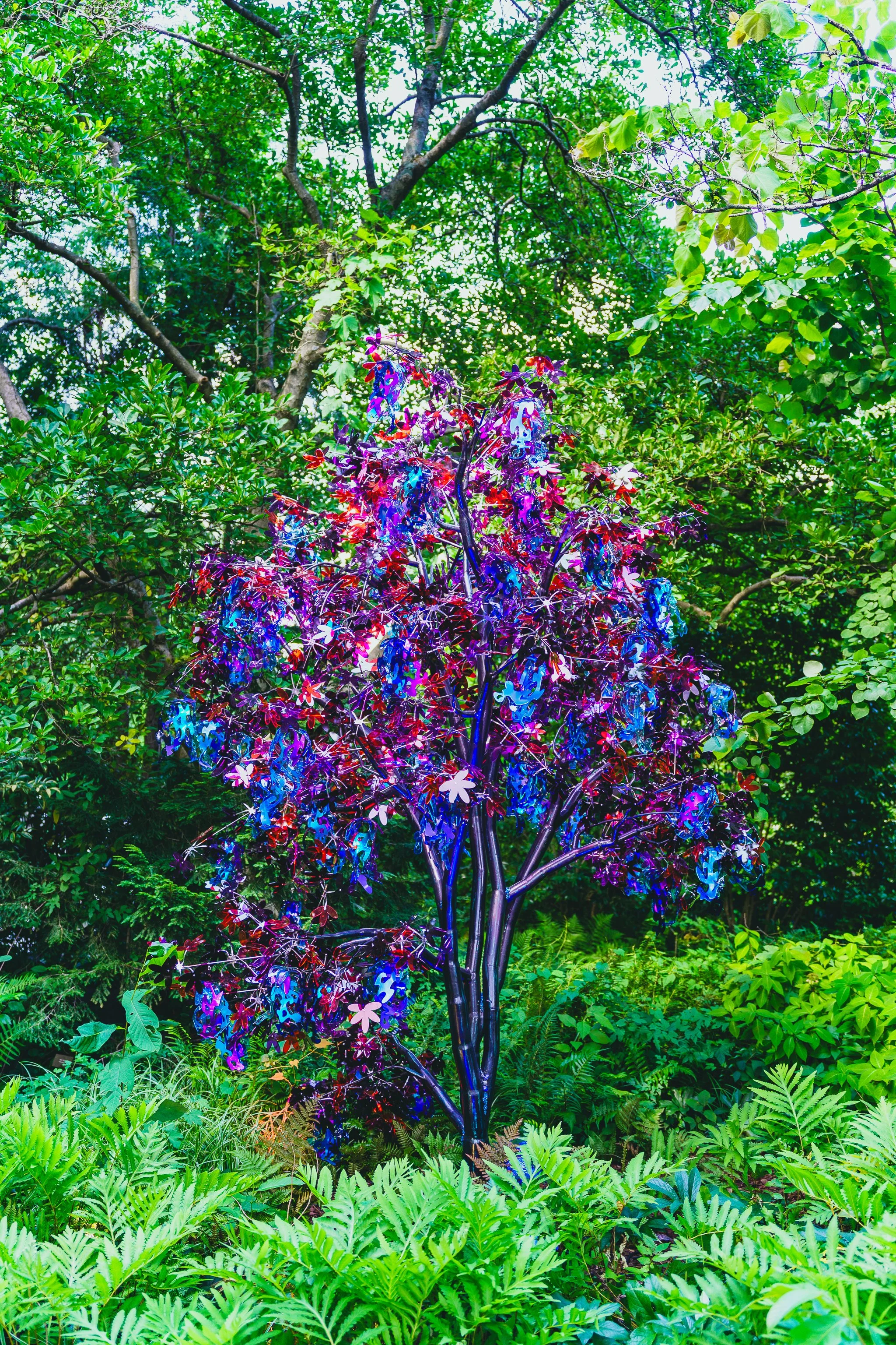 6-27-25 Atlanta Botanic Gardens-54.jpg