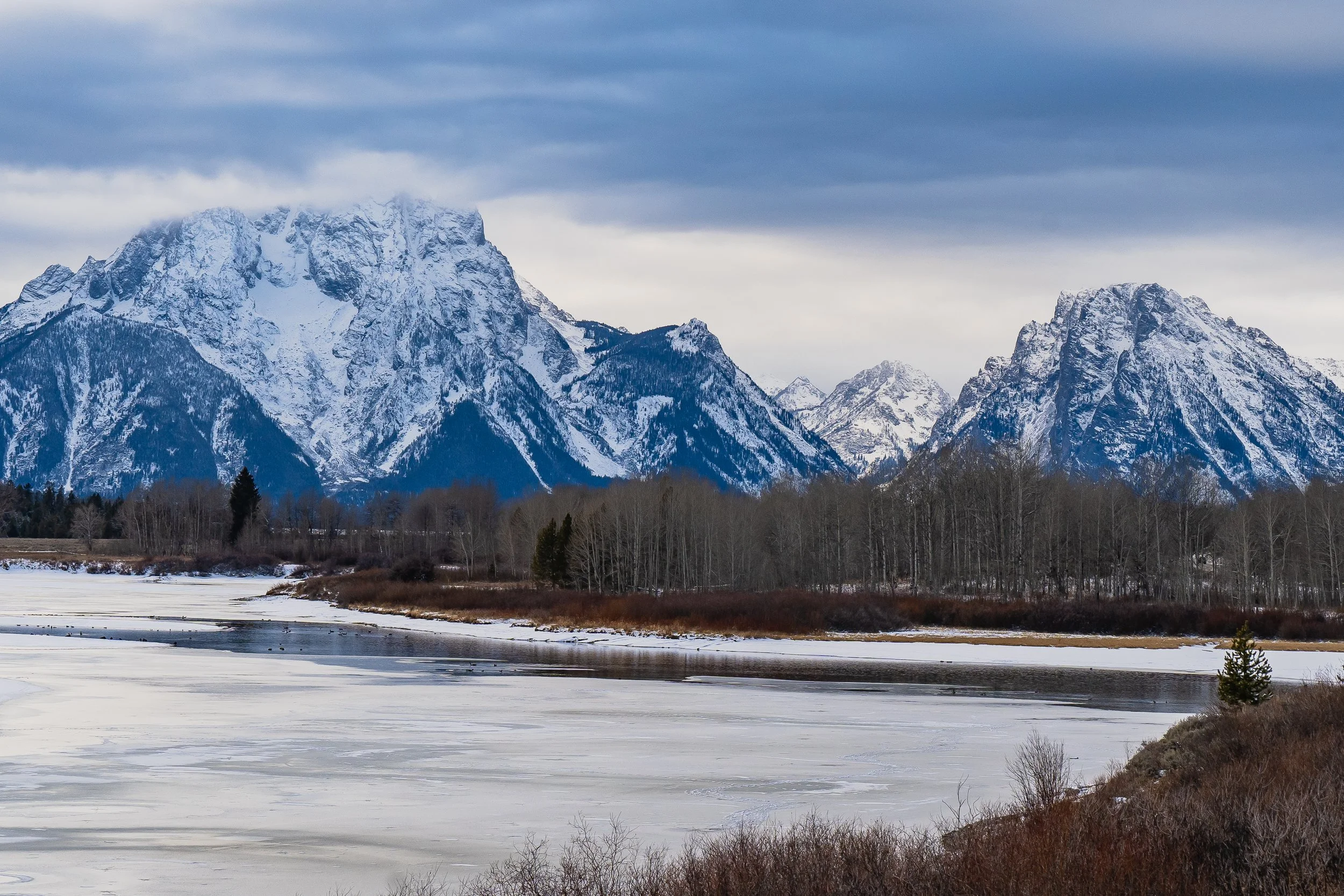 11-17-24 Grand Teton National Park-113.jpg
