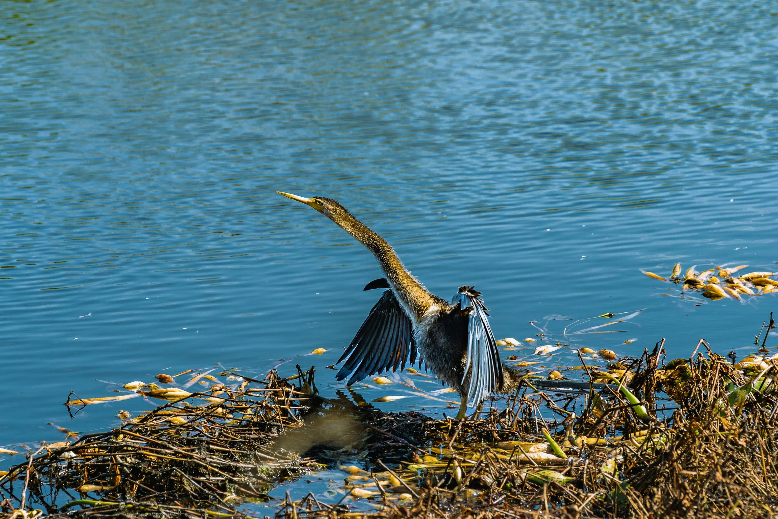 11-30-24 Circle B Bar Reserve-61.jpg