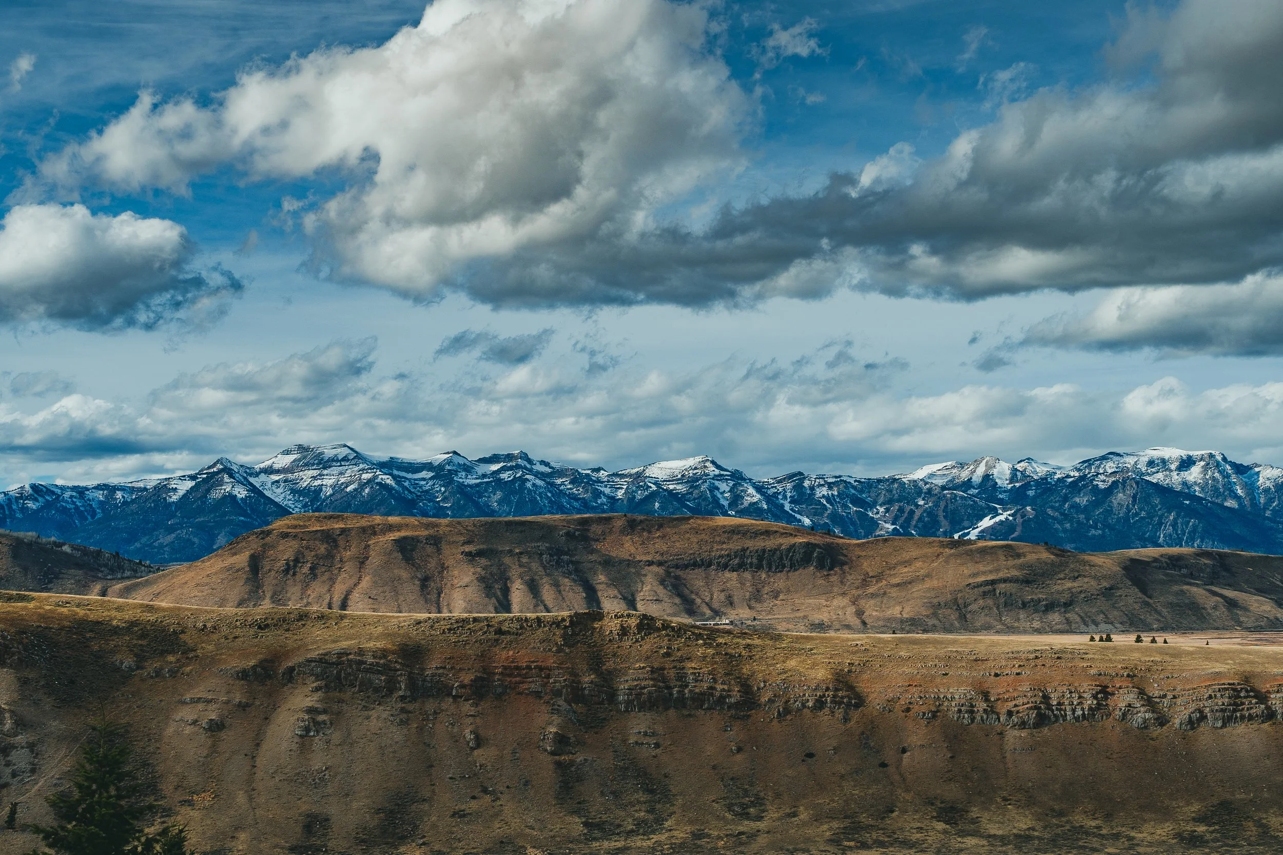 11-14-24 National Elk Refuge-33.jpg