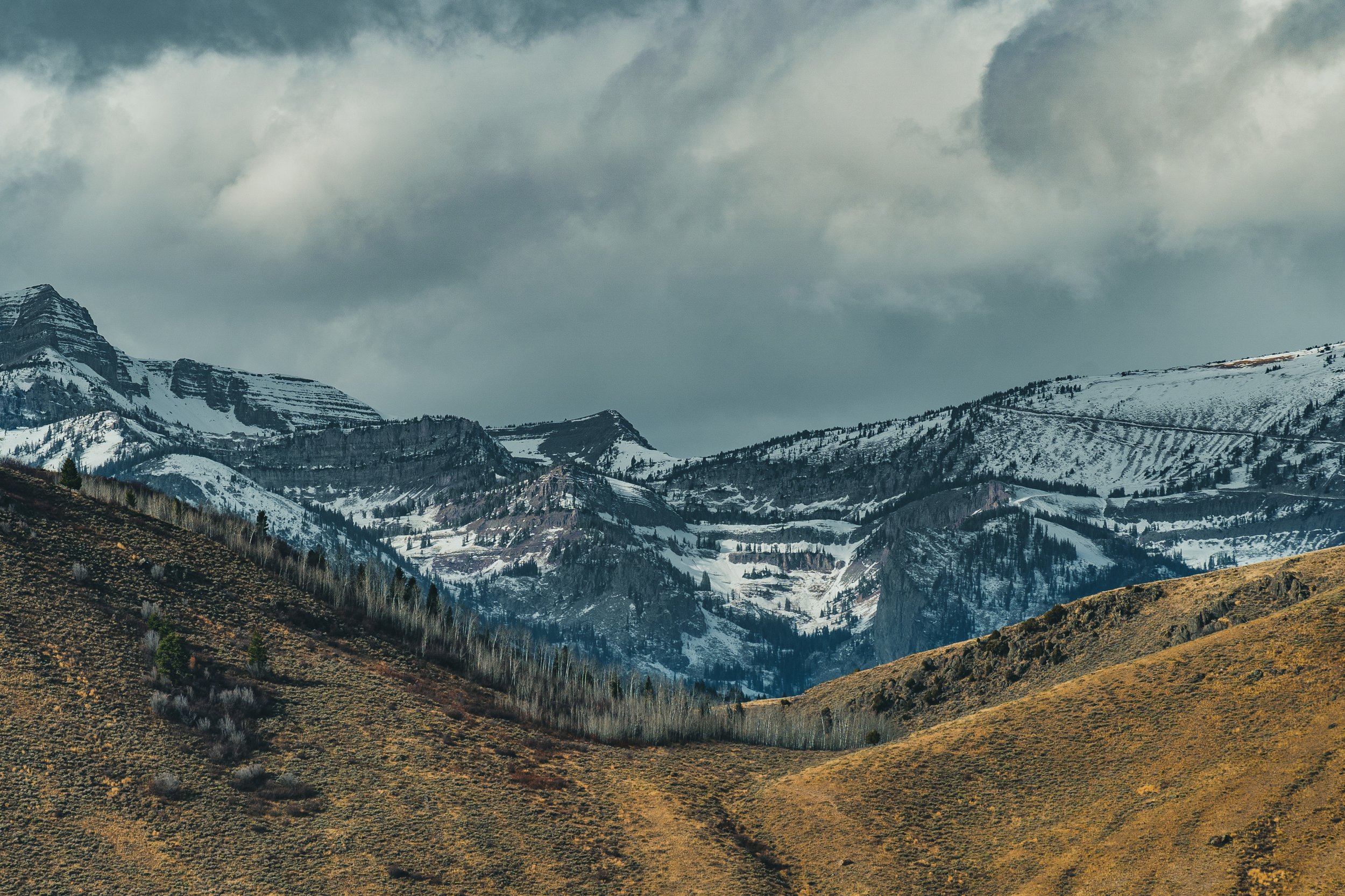 11-14-24 National Elk Refuge-10.jpg