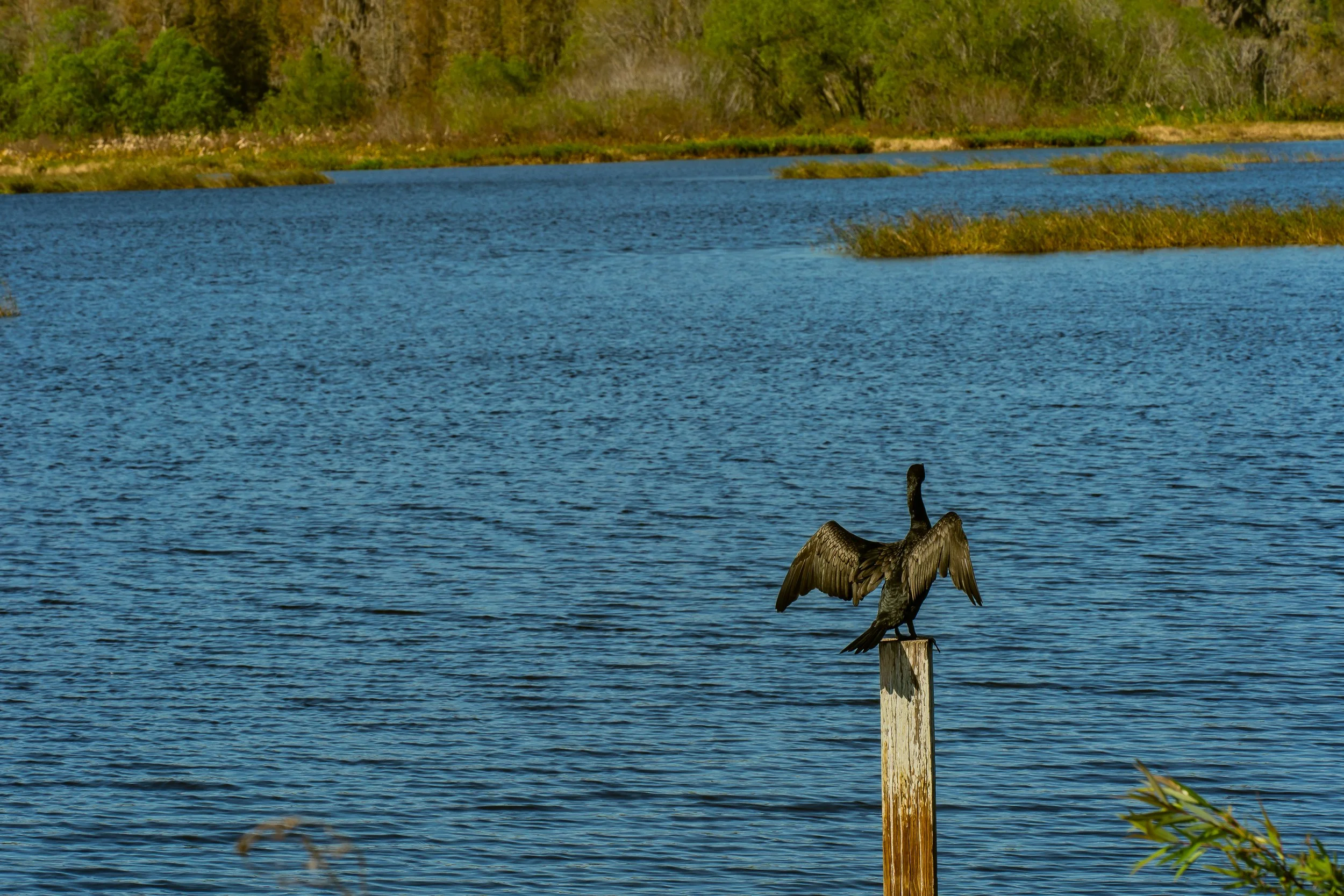 11-30-24 Circle B Bar Reserve-21.jpg
