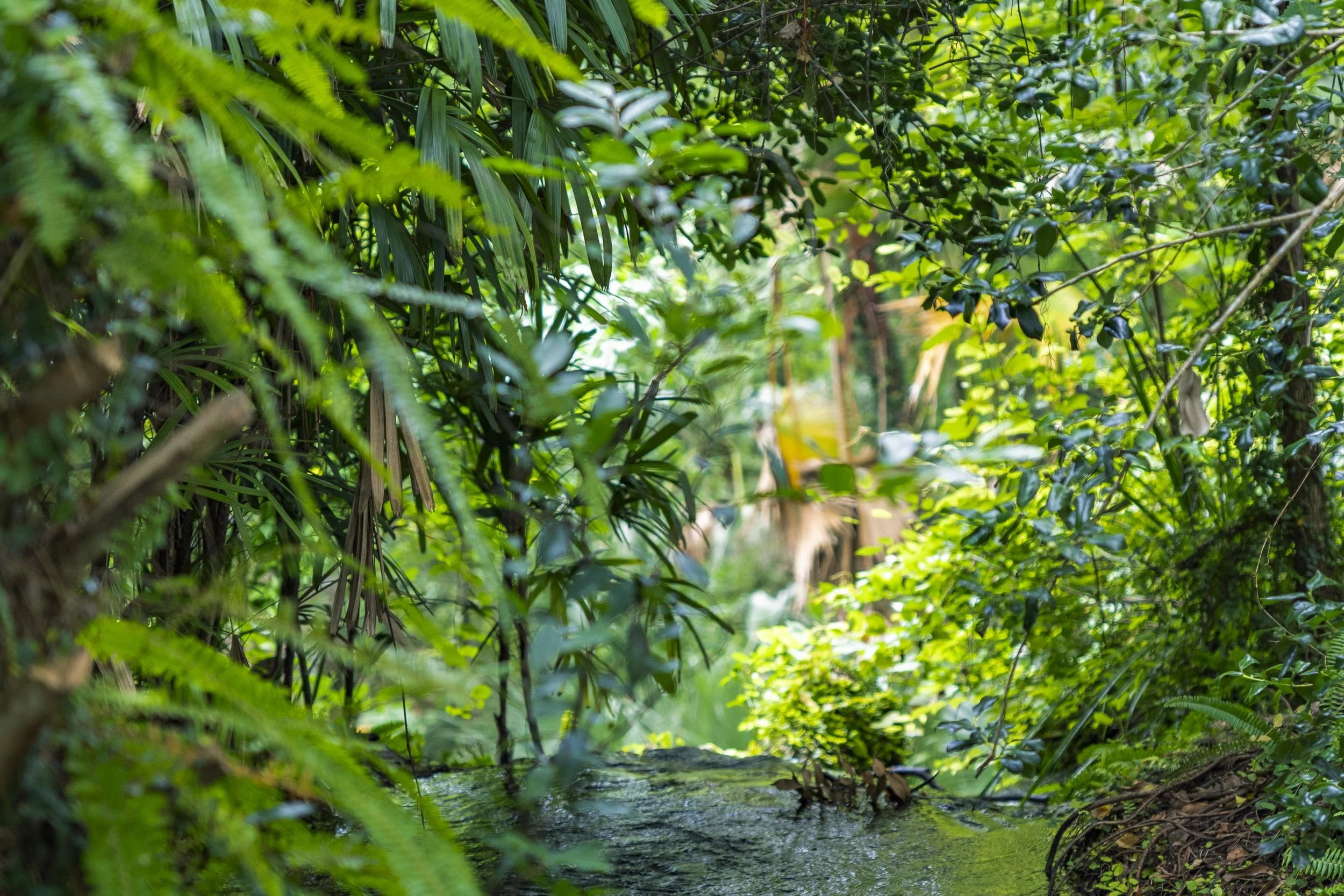 6-29-24 Rainbow Springs SP -18.jpg