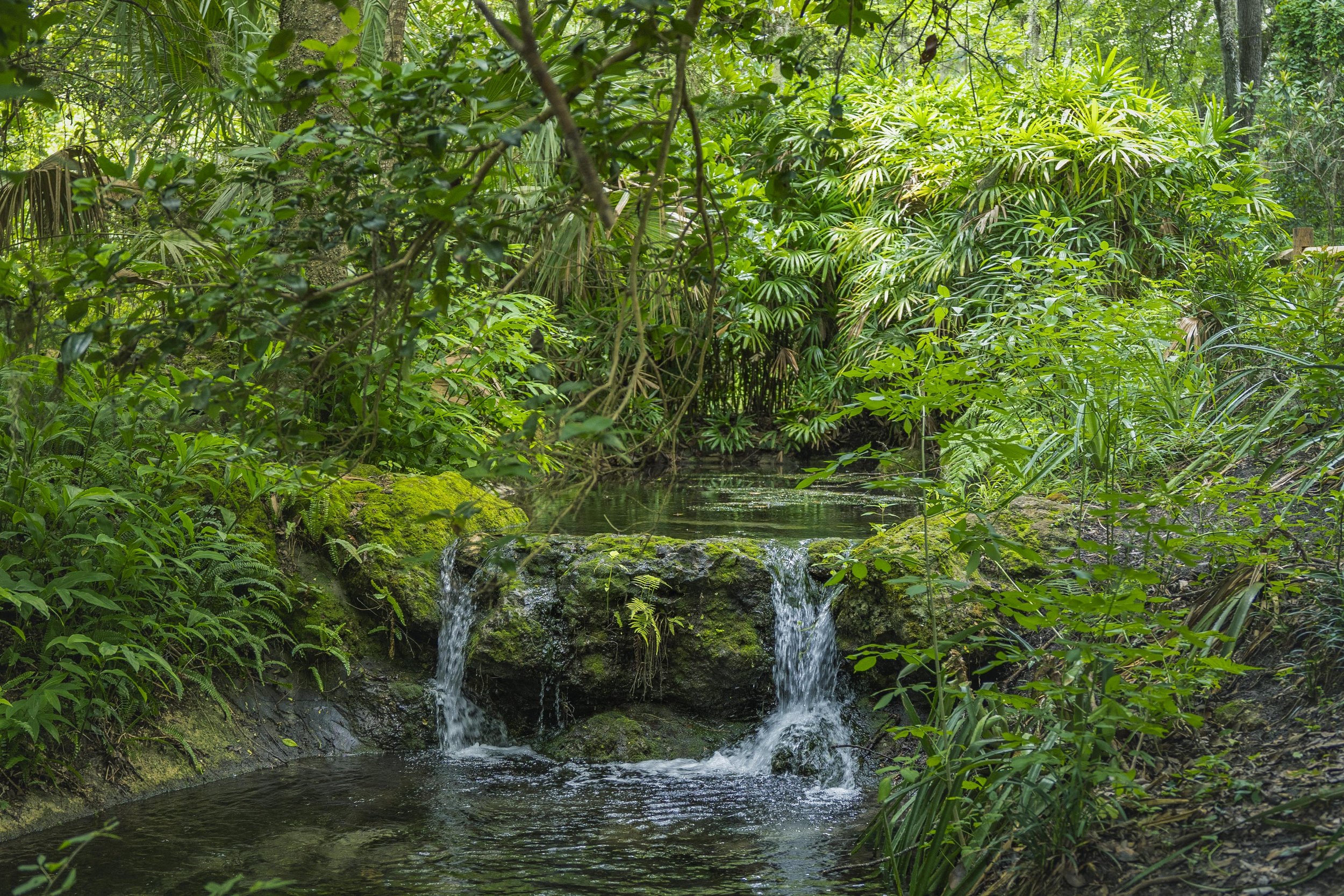6-29-24 Rainbow Springs SP -23.jpg