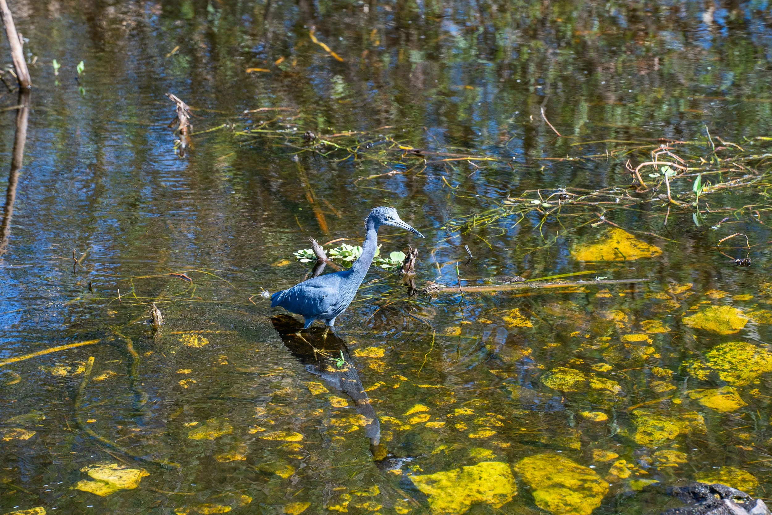 11-30-24 Circle B Bar Reserve-63.jpg