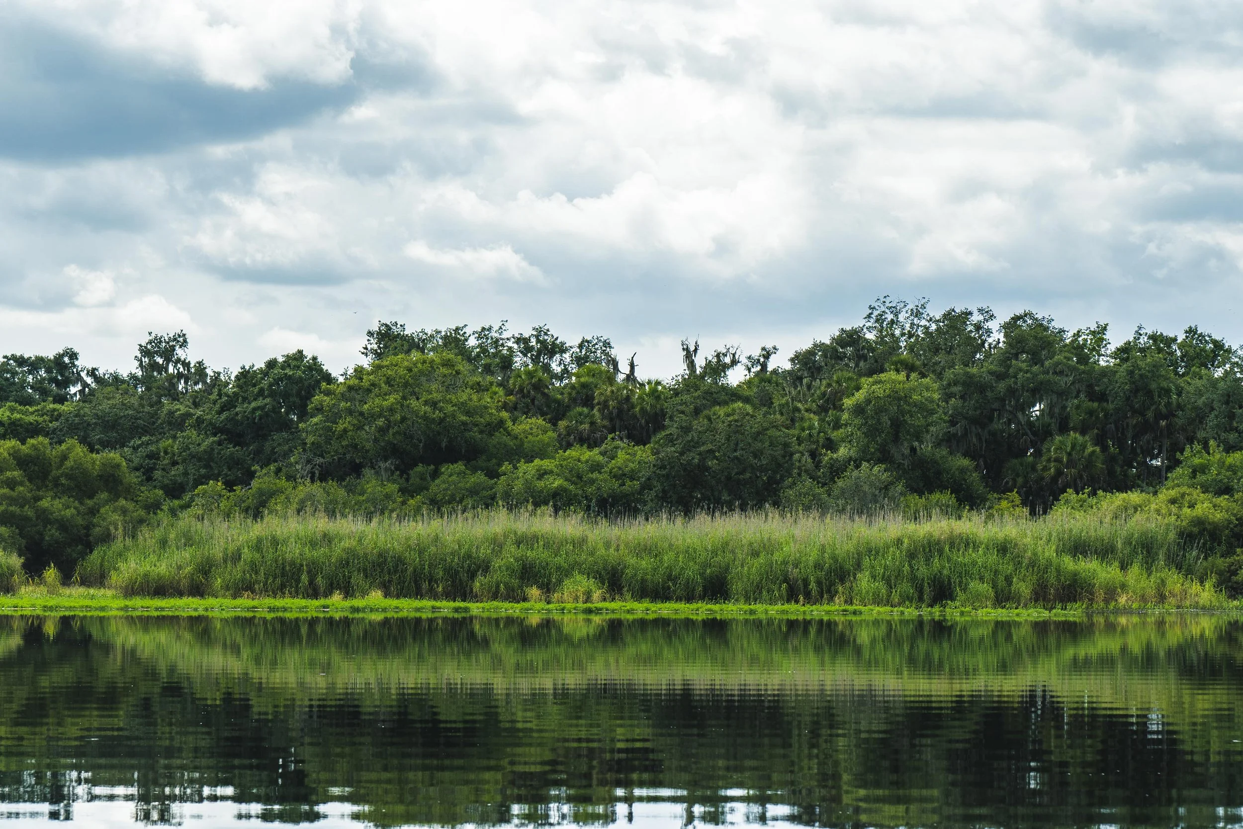 7-13-24 Myakka River SP -8.jpg