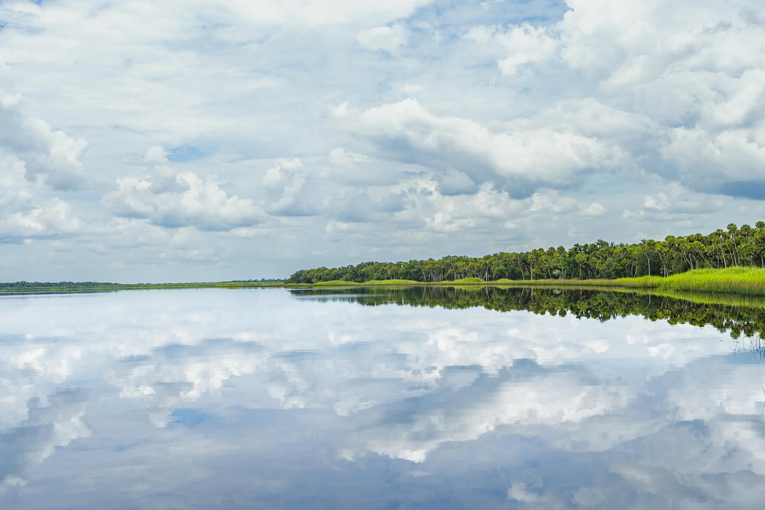 7-13-24 Myakka River SP -2.jpg