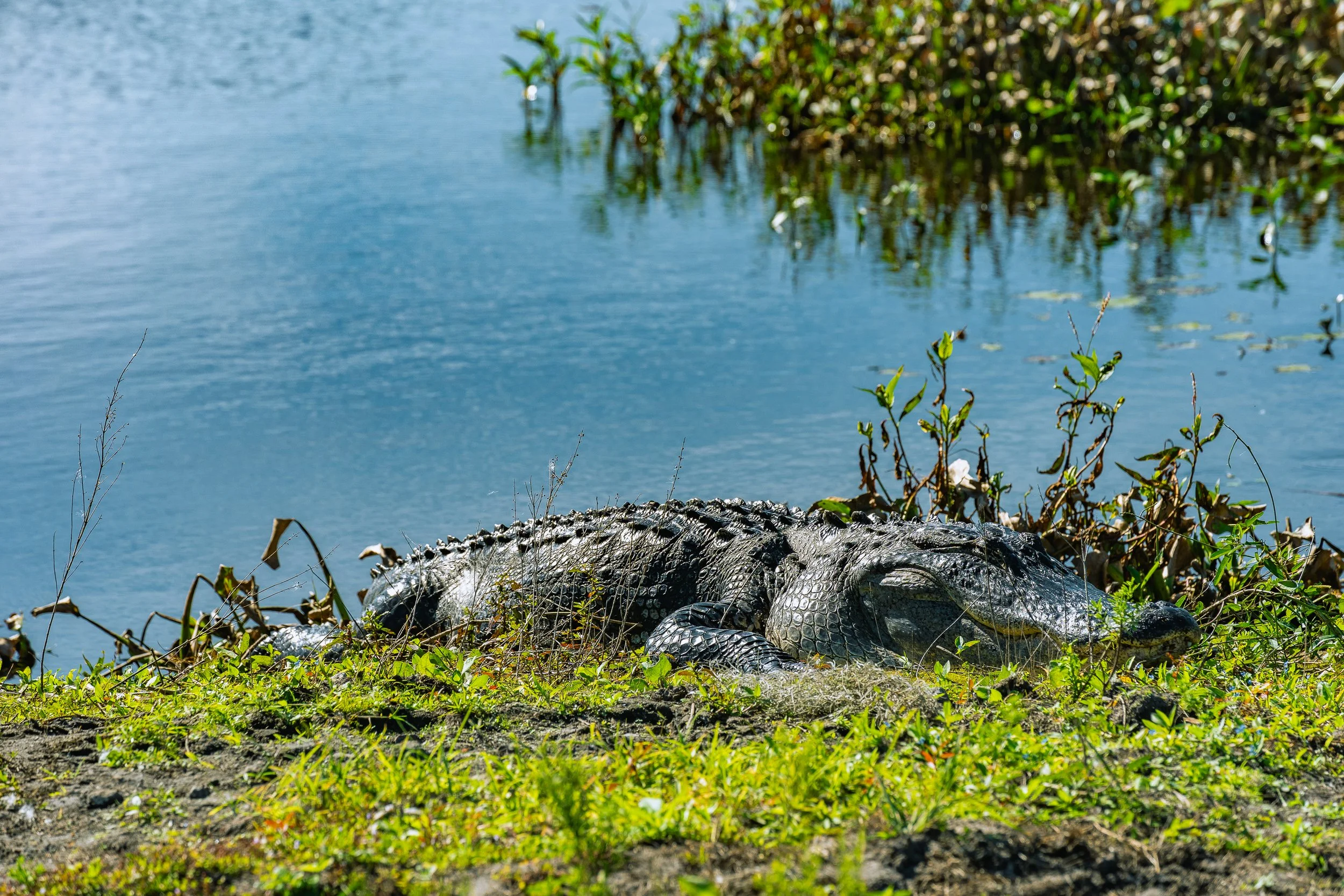 11-30-24 Circle B Bar Reserve-35.jpg