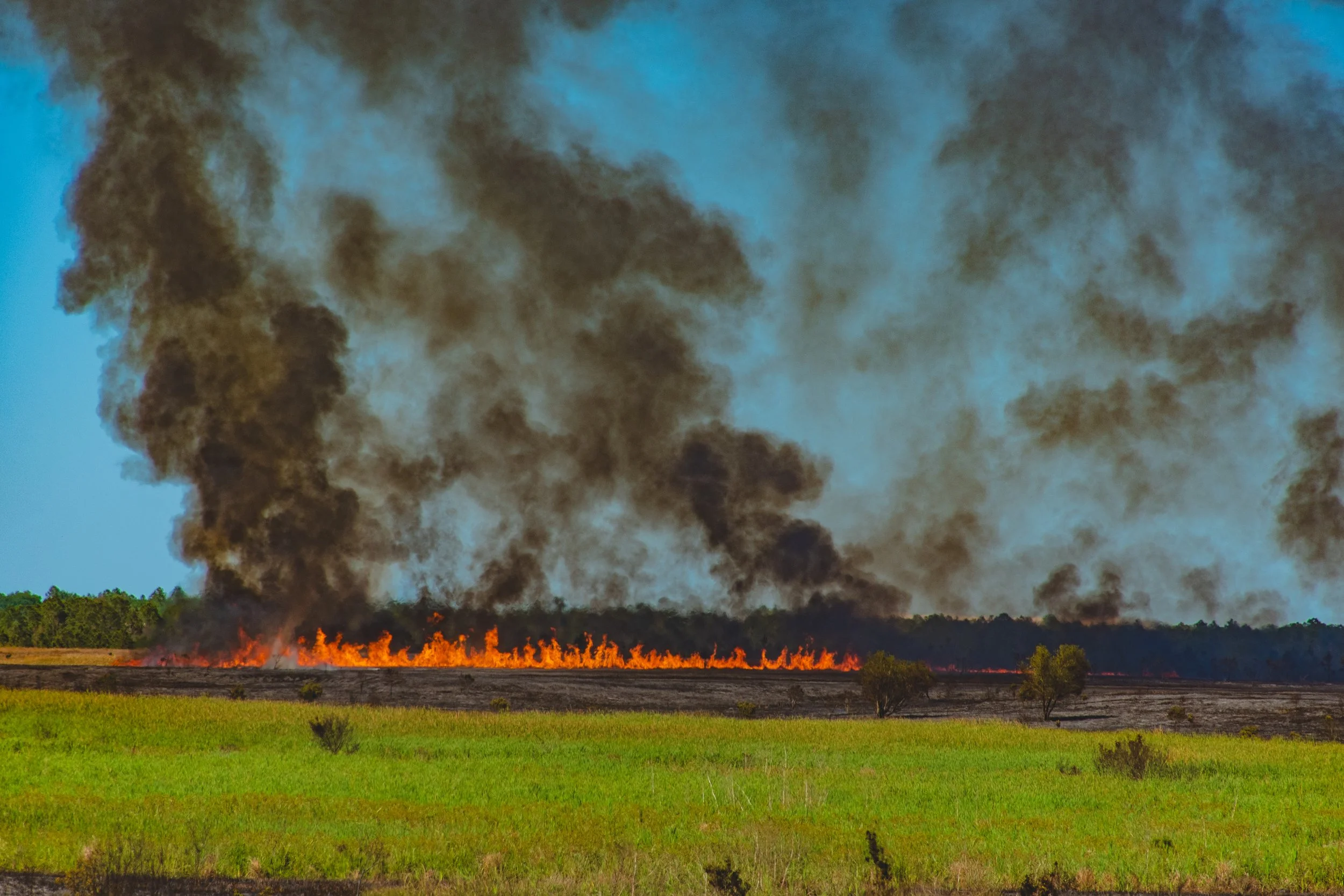 IMG-PCFR-NG-Brush-Fire-3.jpg