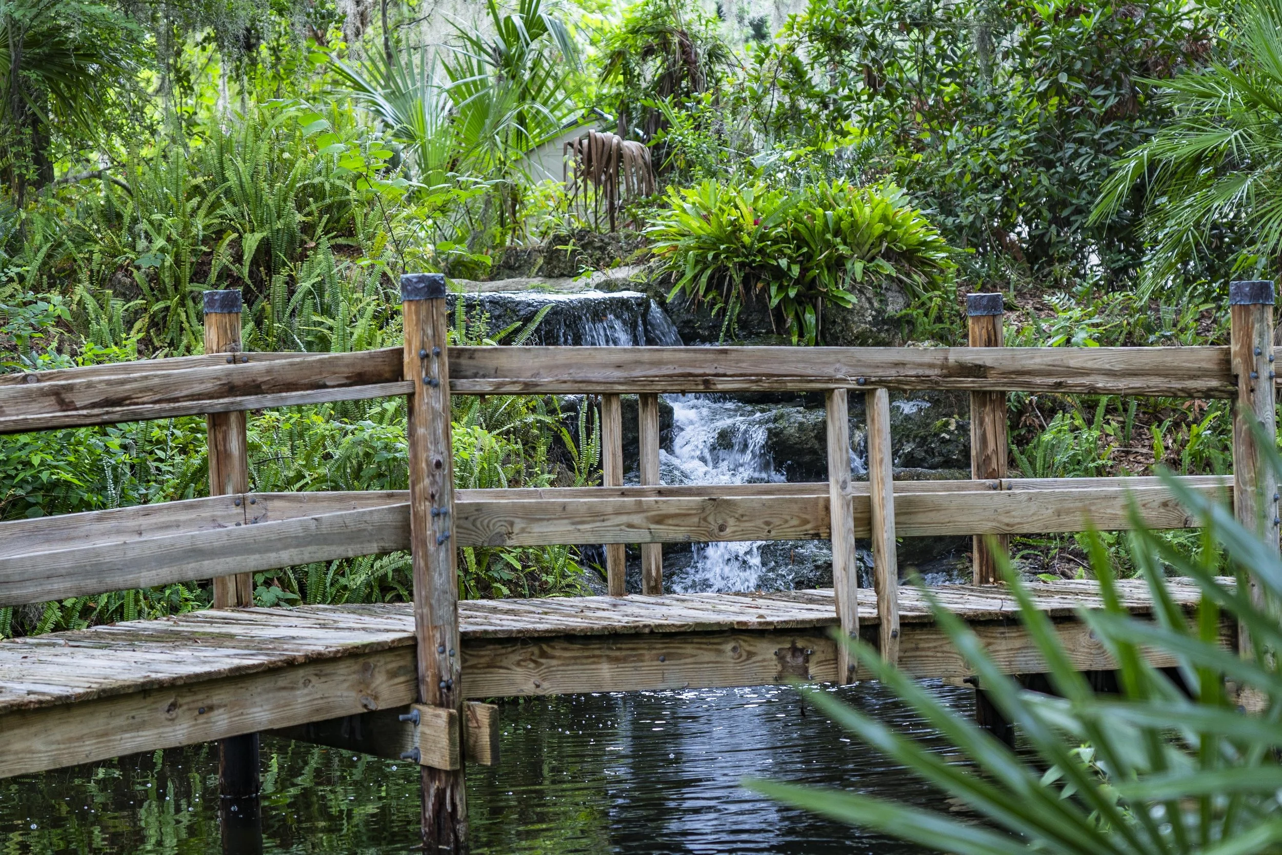 6-29-24 Rainbow Springs SP -1.jpg