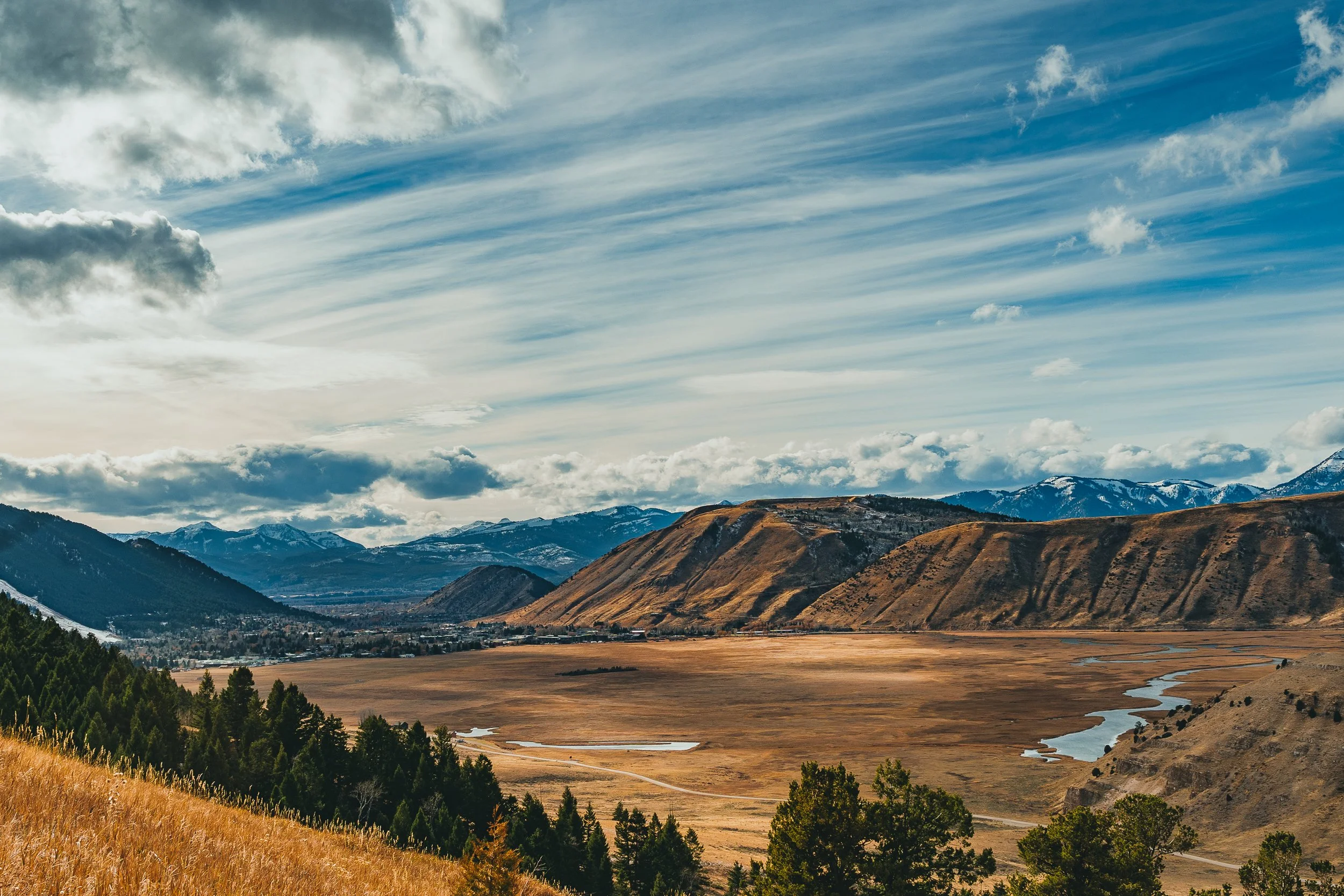11-14-24 National Elk Refuge-37.jpg