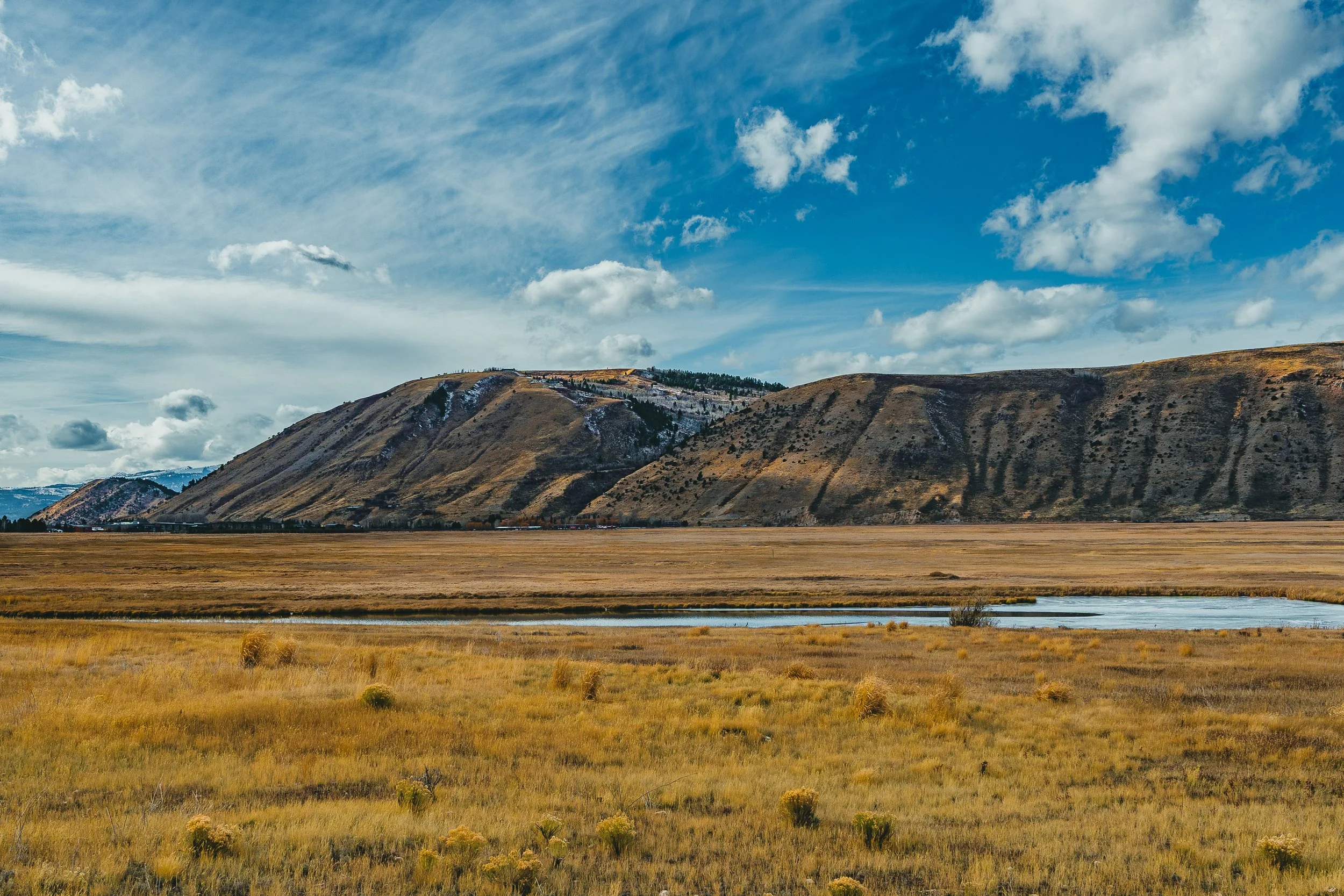 11-14-24 National Elk Refuge-2.jpg