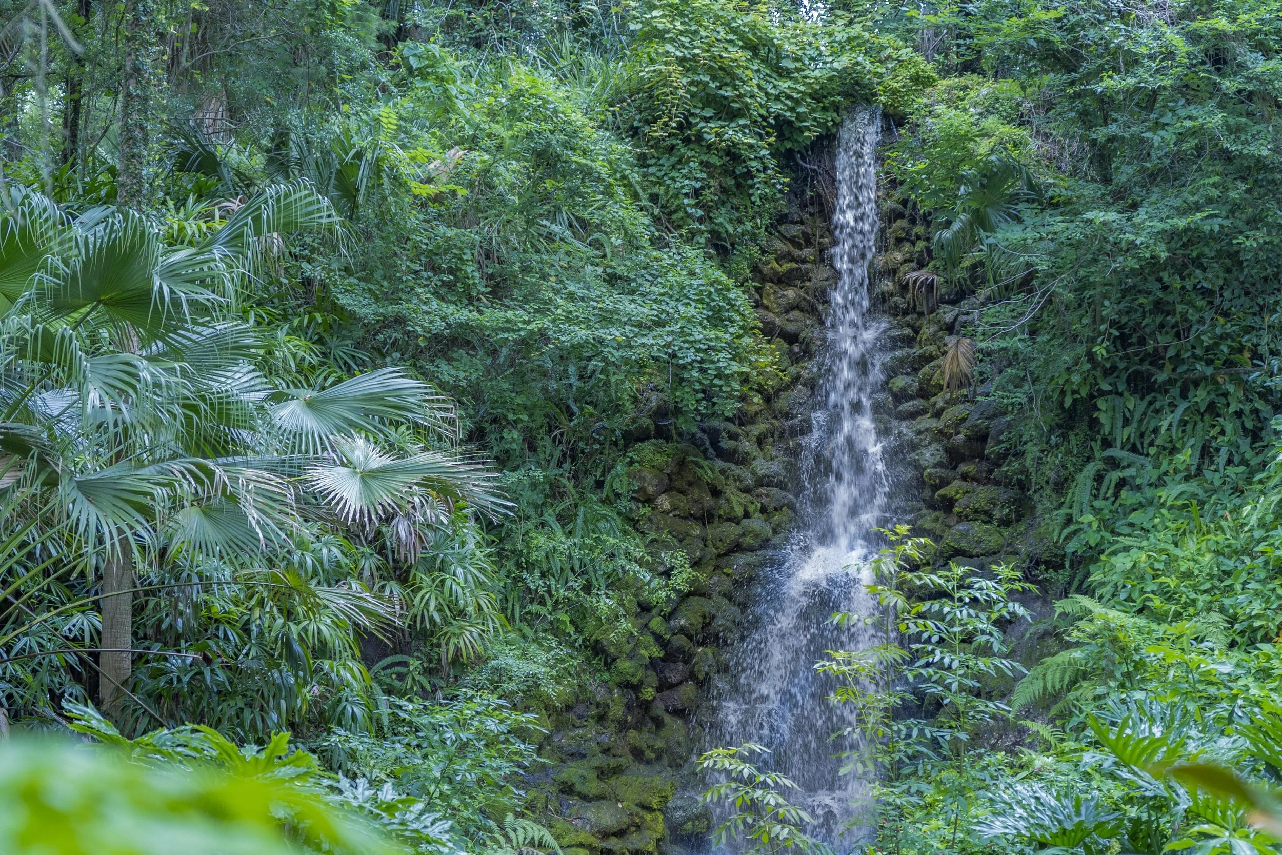 6-29-24 Rainbow Springs SP -8.jpg