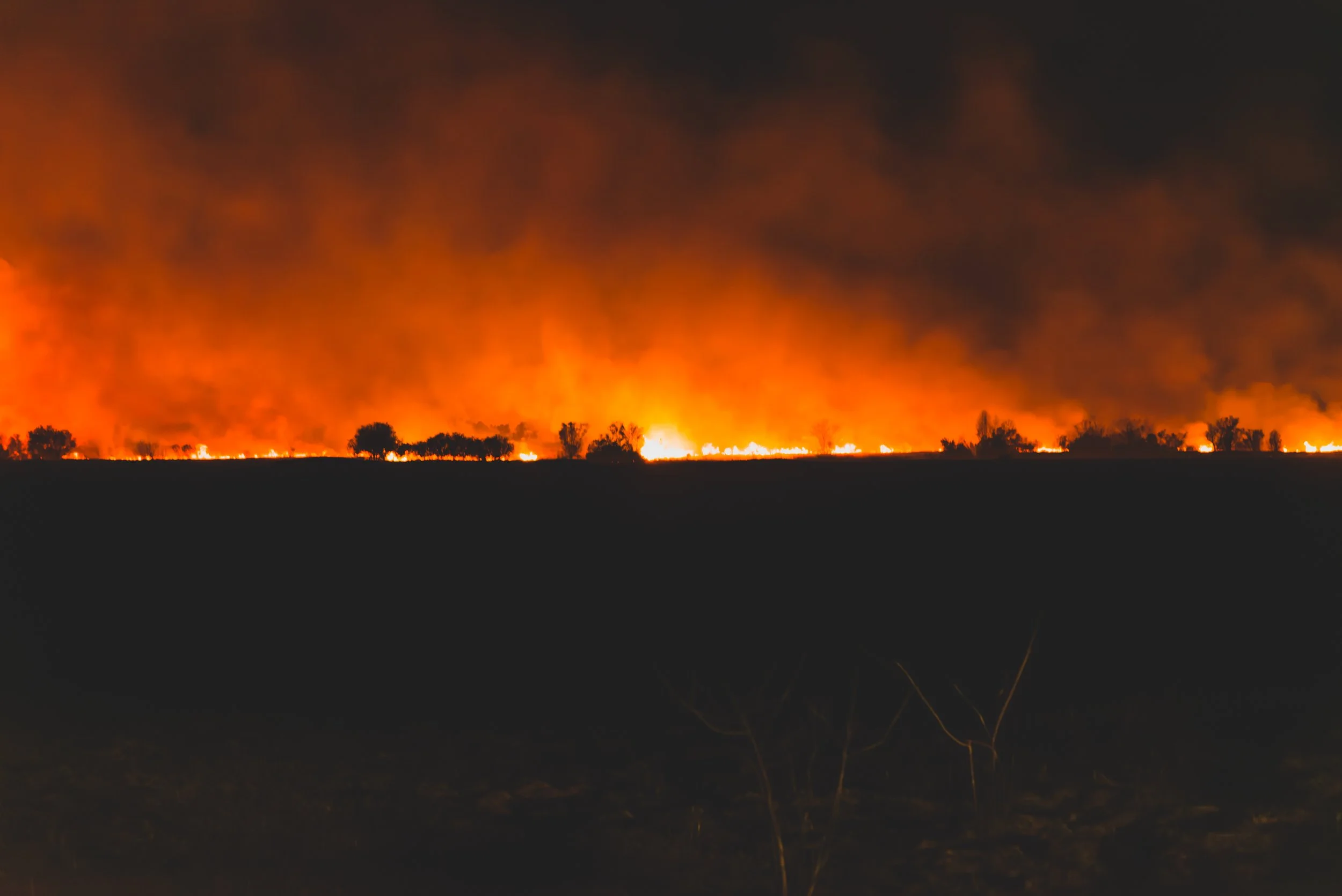img_pcfr_ng_brush_fire_05.jpg