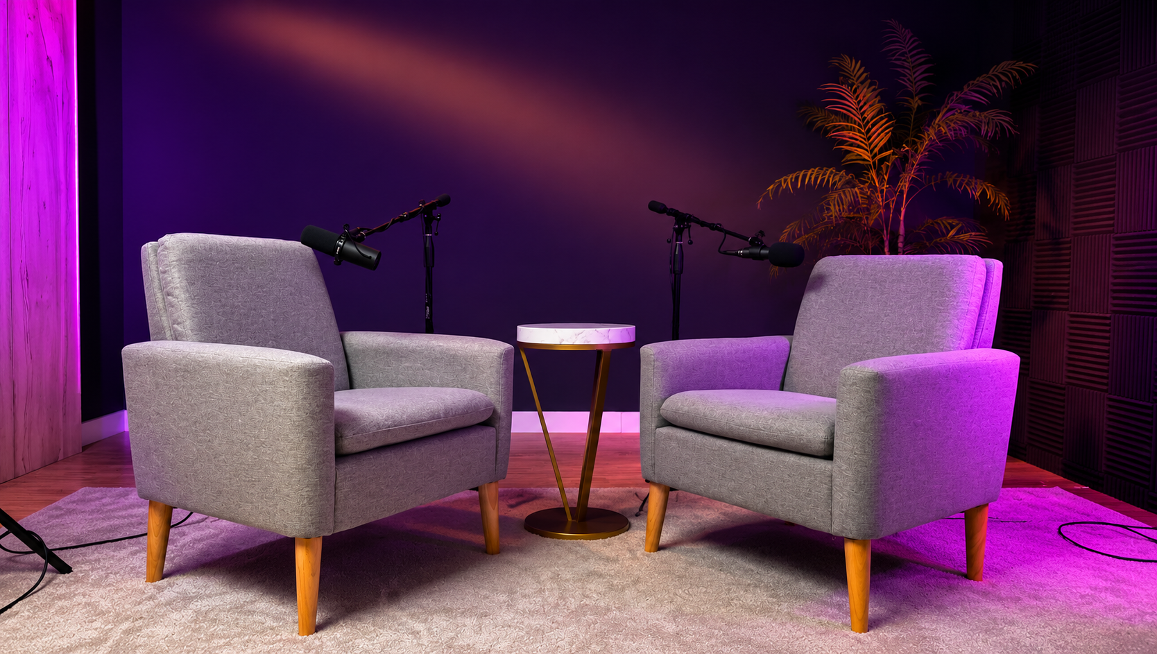 Content and Podcast and Workspace Studio in Encinitas