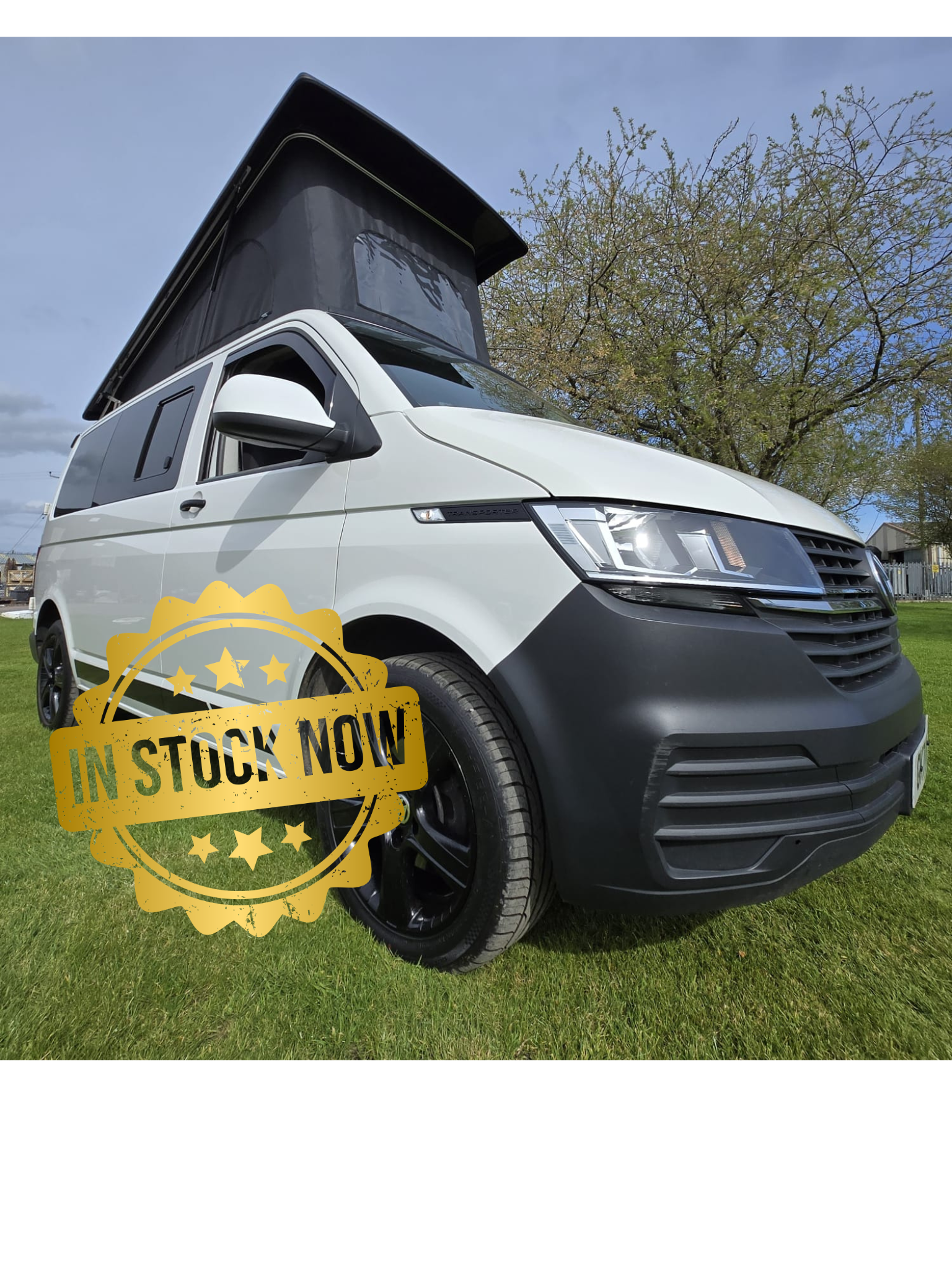 Untitled design (9).png