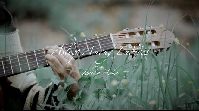 4.6.2024

| Kuvaus, editointi &amp; v&auml;rim&auml;&auml;rittely | &Auml;&auml;nitys &amp; miksaus |

Musiikkivideo kes&auml;lt&auml; :)

Kiitos yleisest&auml; avustamisesta @salmioukko ❤️

Laulu: @onnidayo 
Kitara: @kaikukorkman