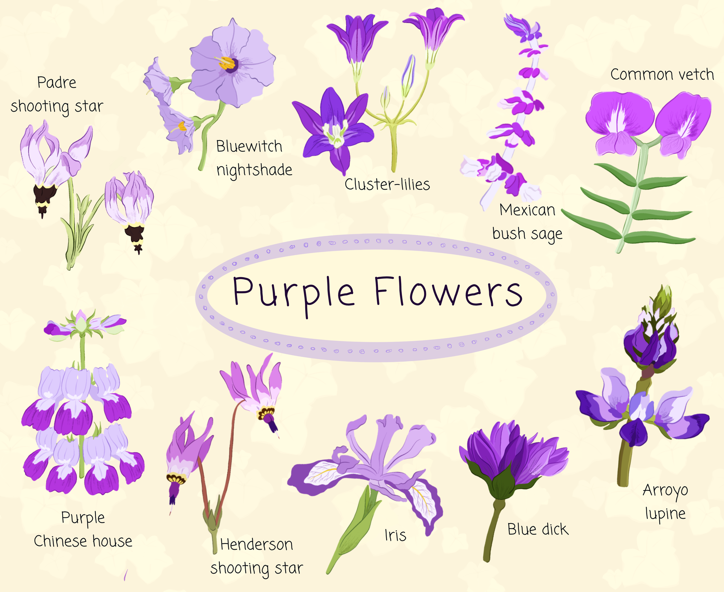 IMG_2553.png