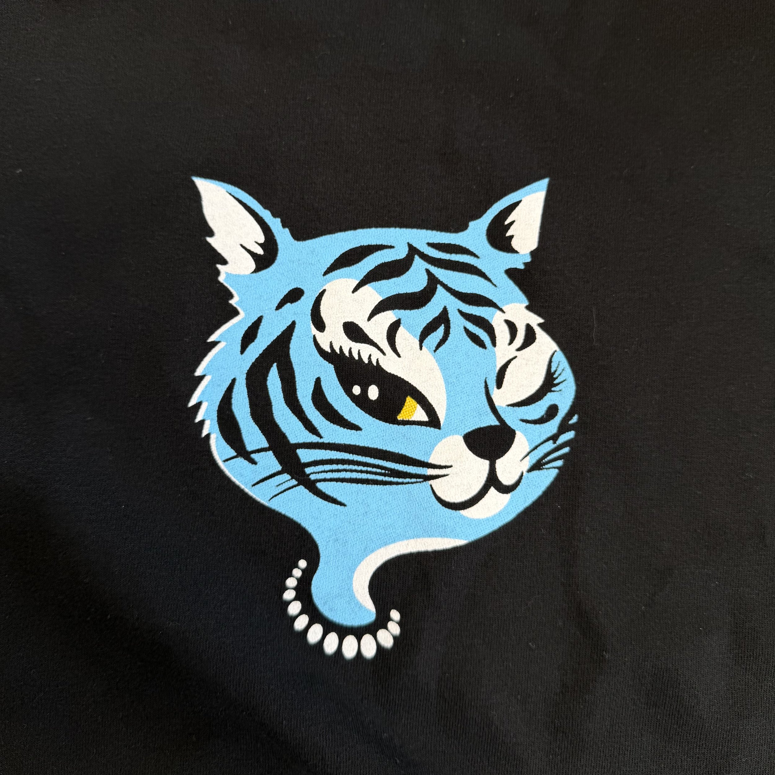 90s Cat 2.jpeg
