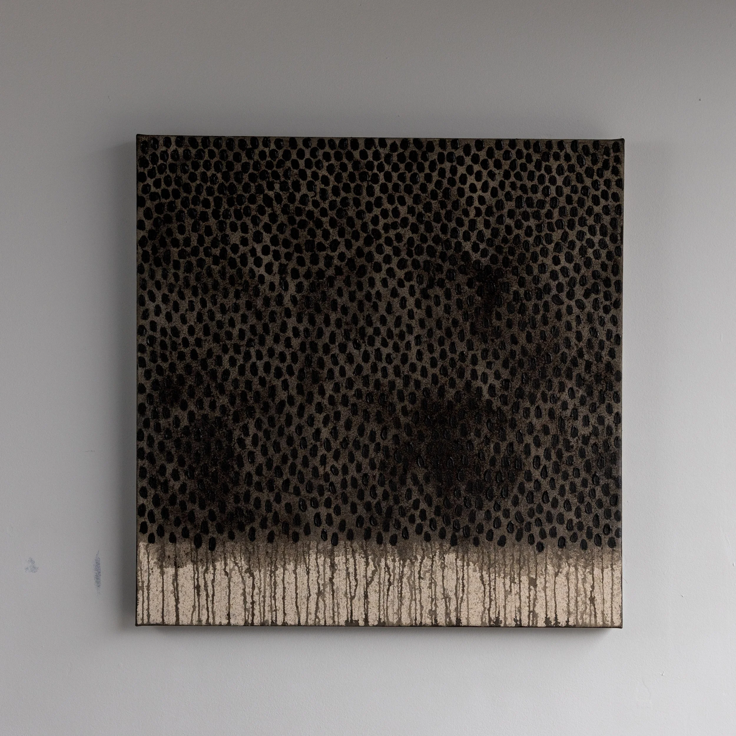 Hunting Island Winter