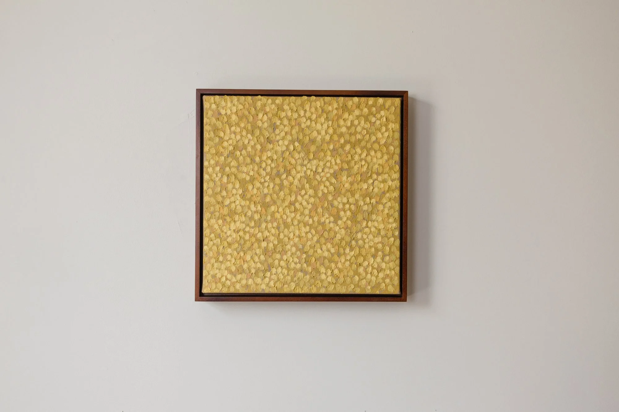 Mellow Yellow 2.jpg