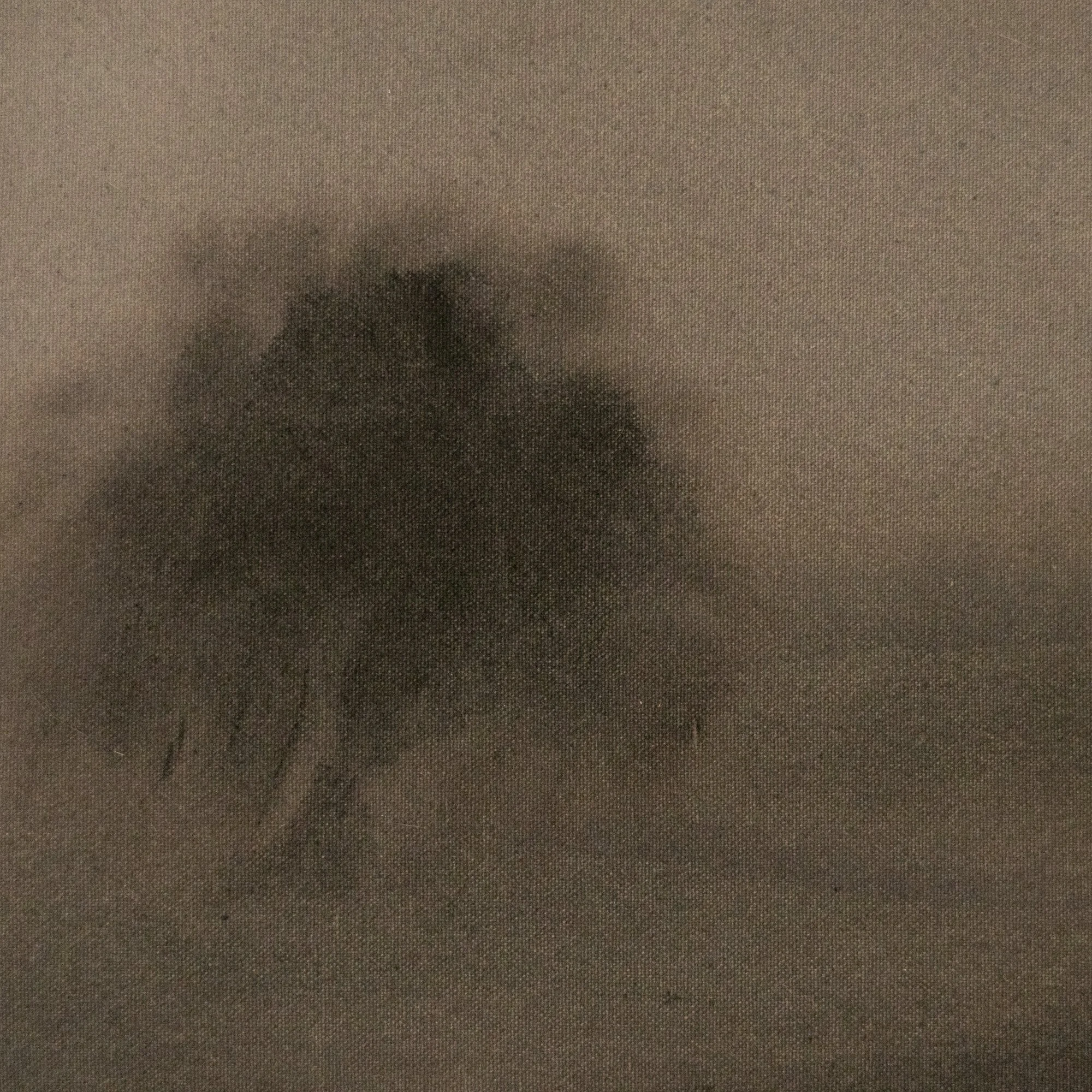 Wispy Detail 2.jpg