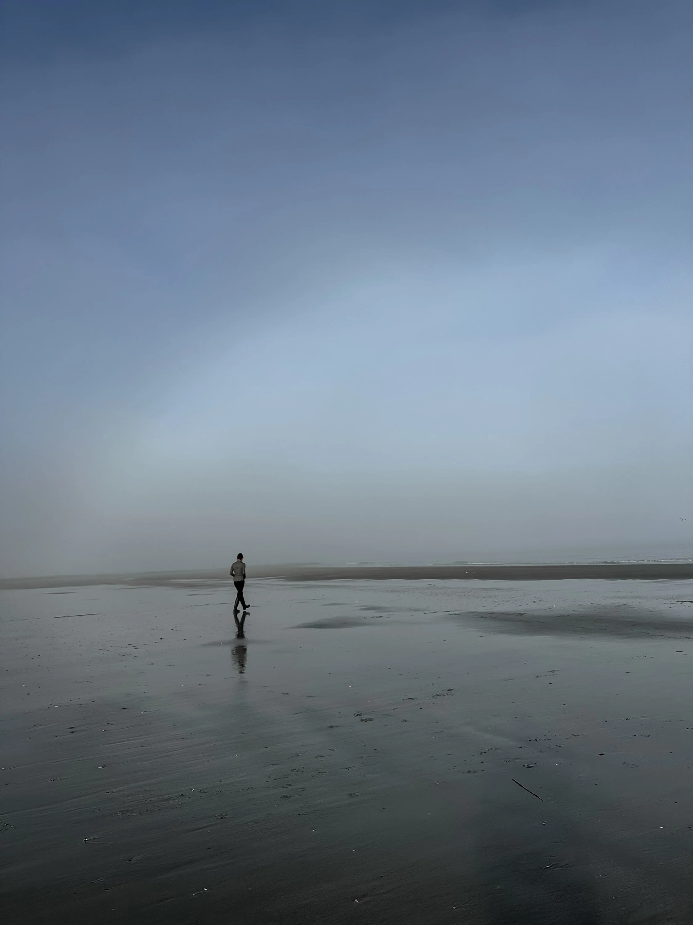 A person walking alone on a vast, empty beach with wet sand and puddles, under a cloudy sky with a foggy horizon.