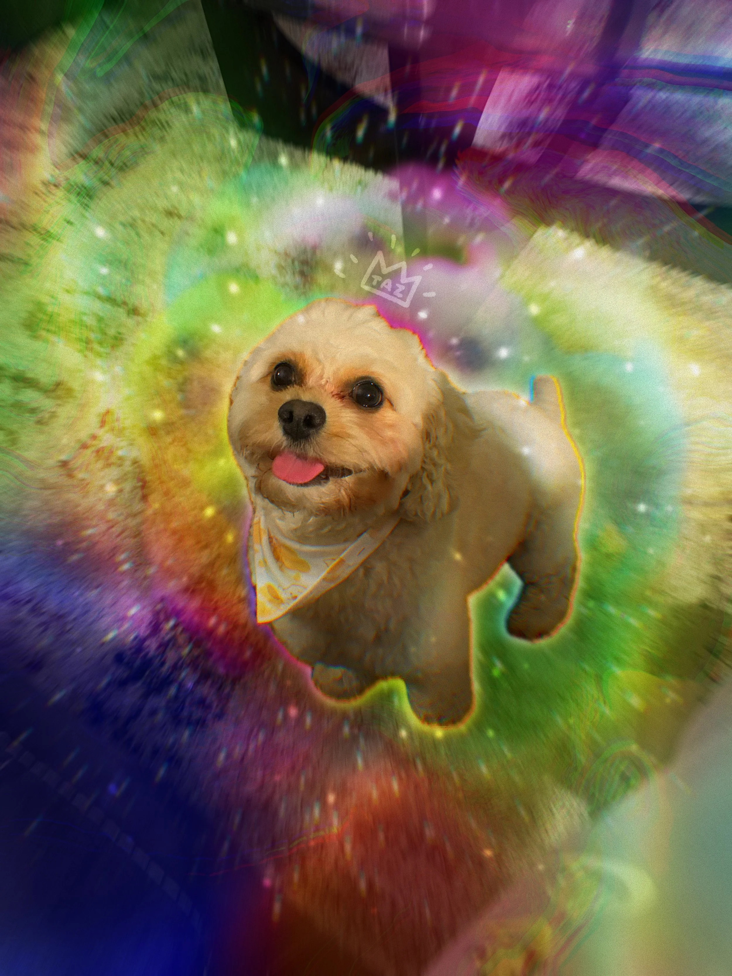 IMG_0984.PNG