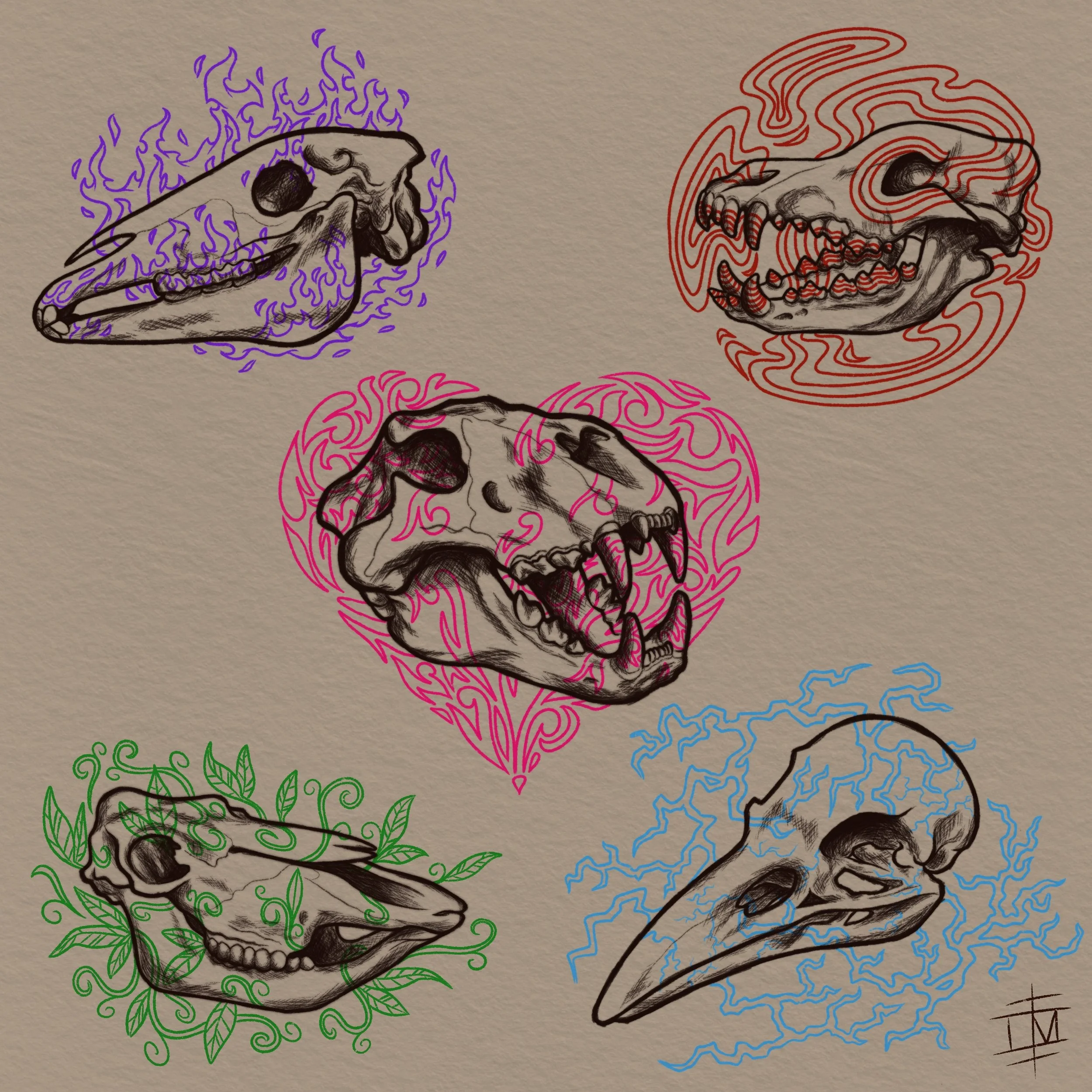 IMG_0337.PNG