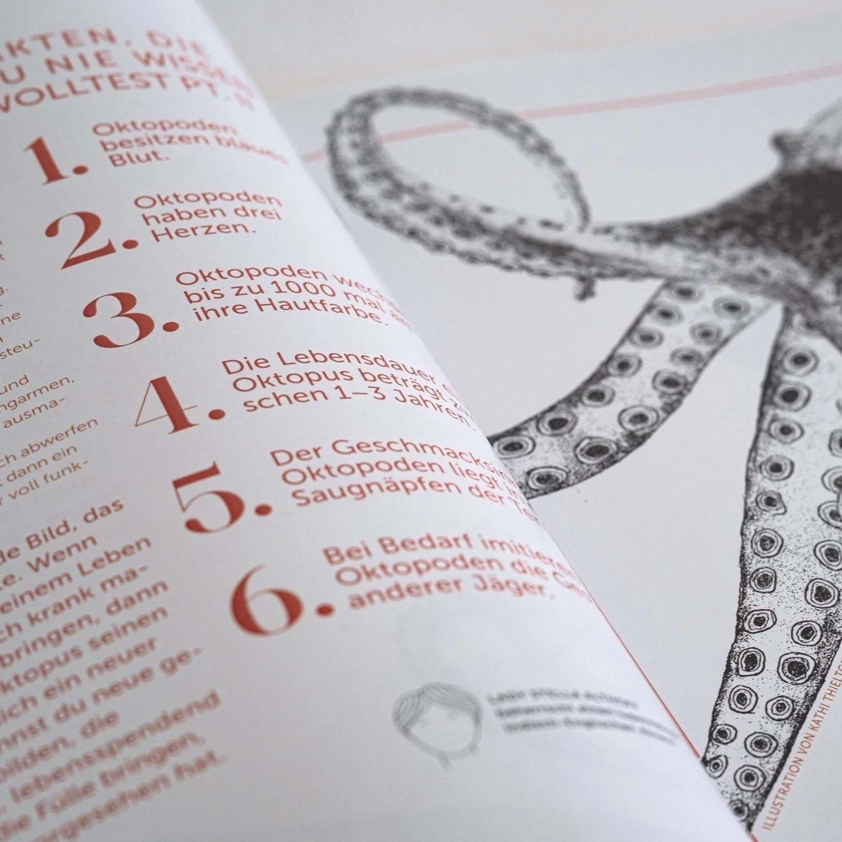 Magazin+Karten_PRINT_Website-0281.jpg