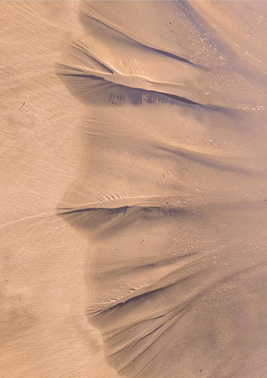 Lo que se va, lo que llega