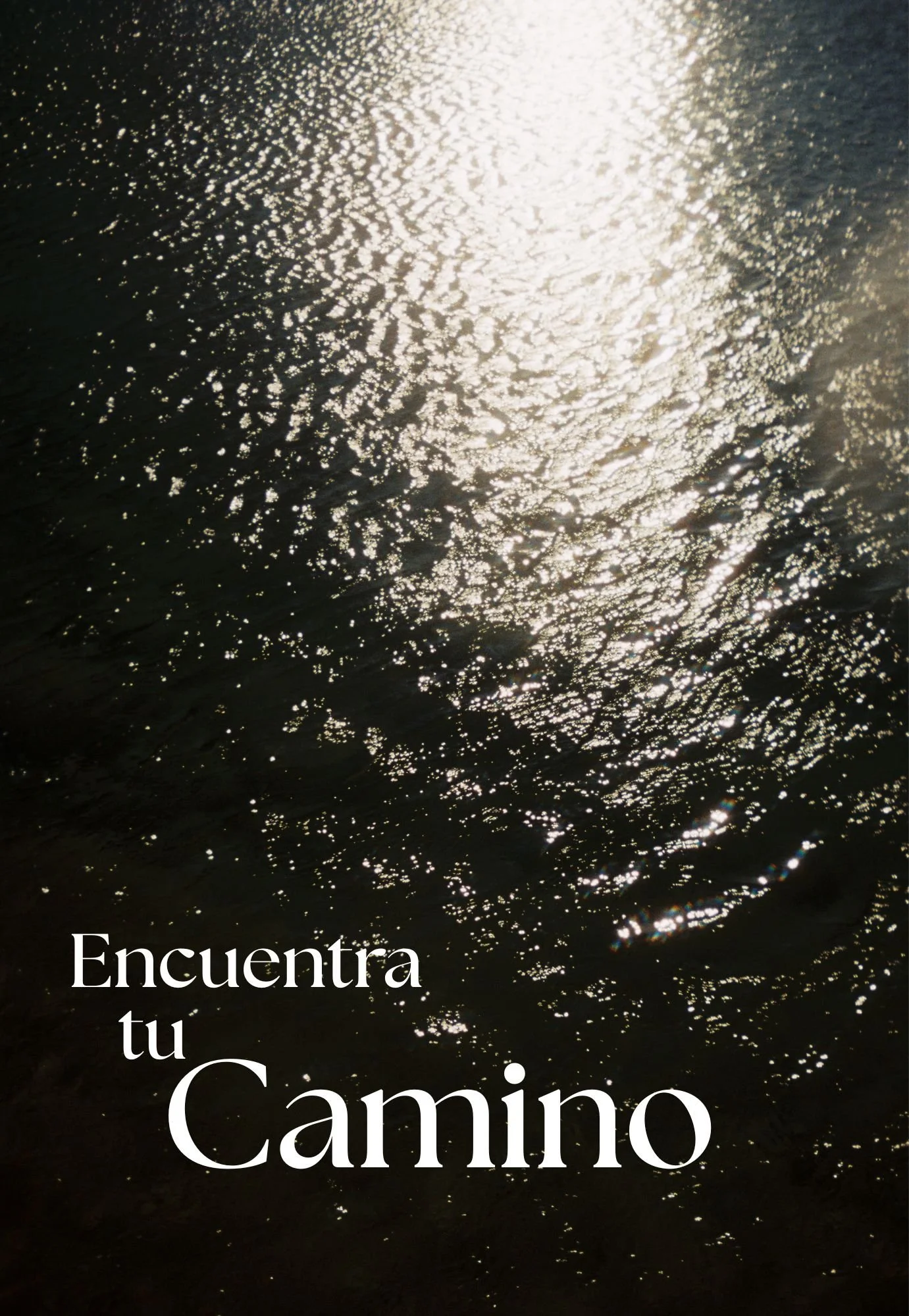 Encuentra tu camino