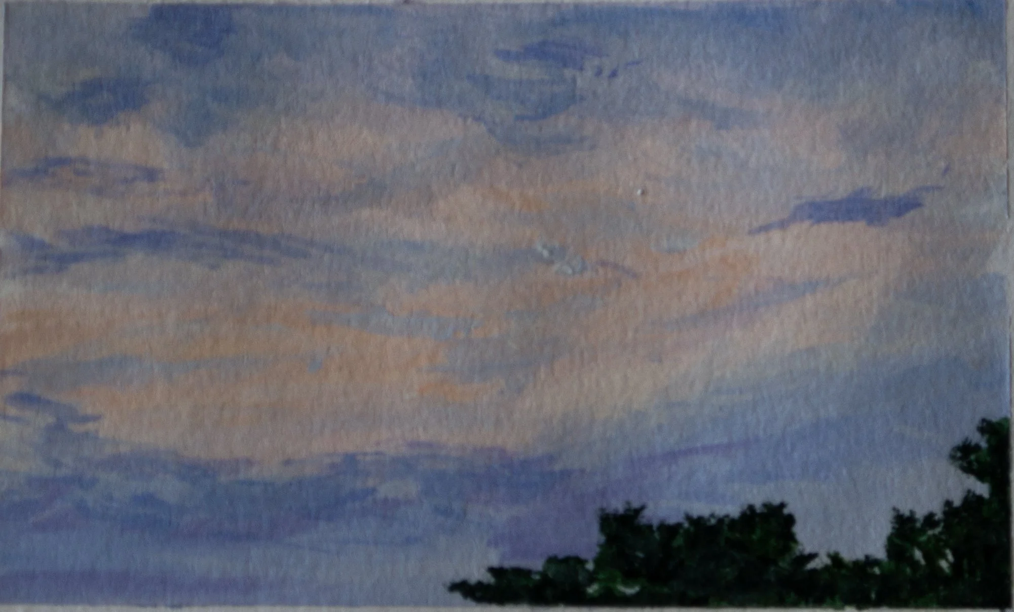 Little Dusk Study, 2025 jpeg.jpg