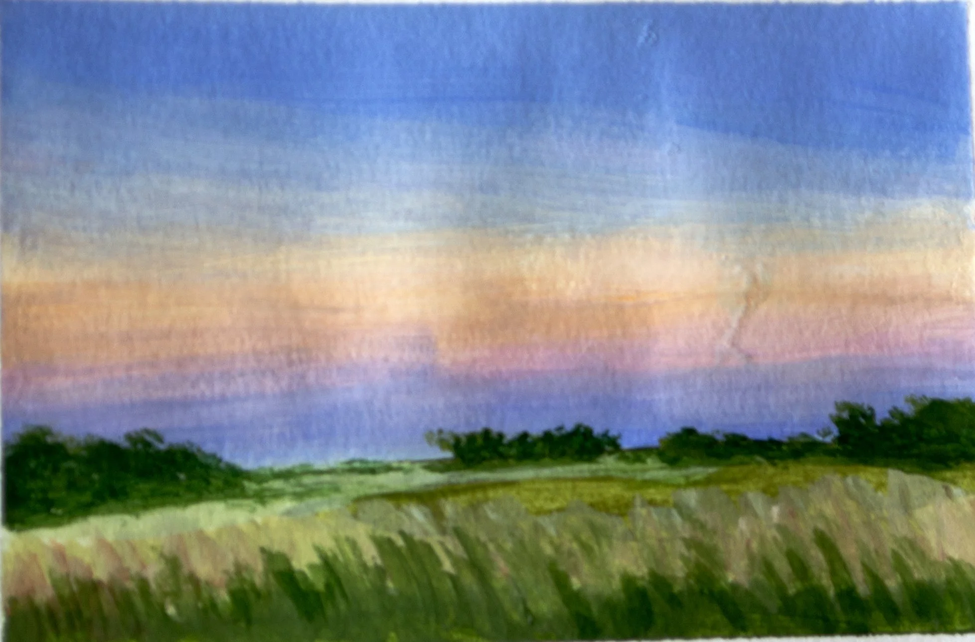 Dusk Field, August 2025 jpeg.jpg