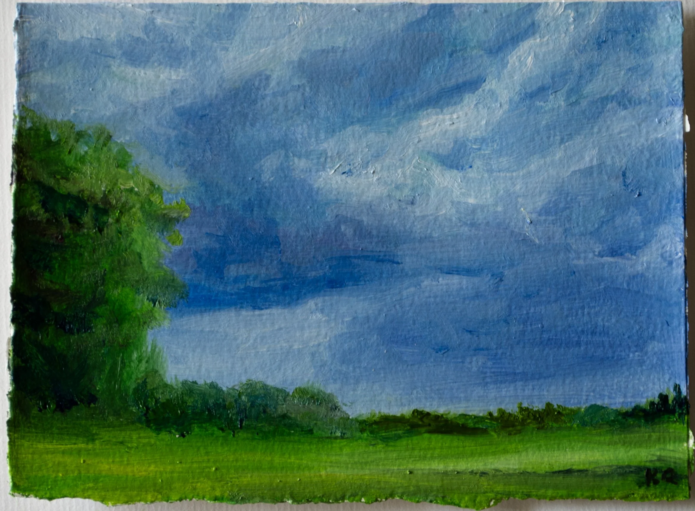 Approaching Storm, June 2025 jpeg.jpg