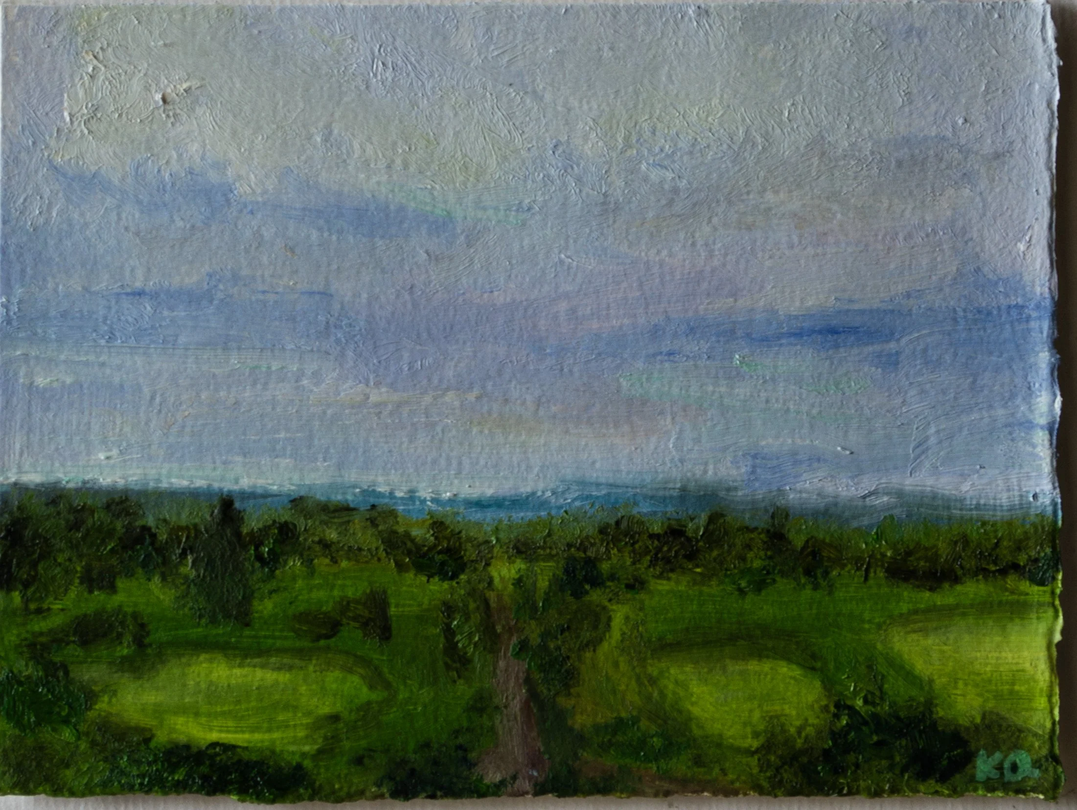 Skytop Overlook, Spring 2025 jpeg.jpg