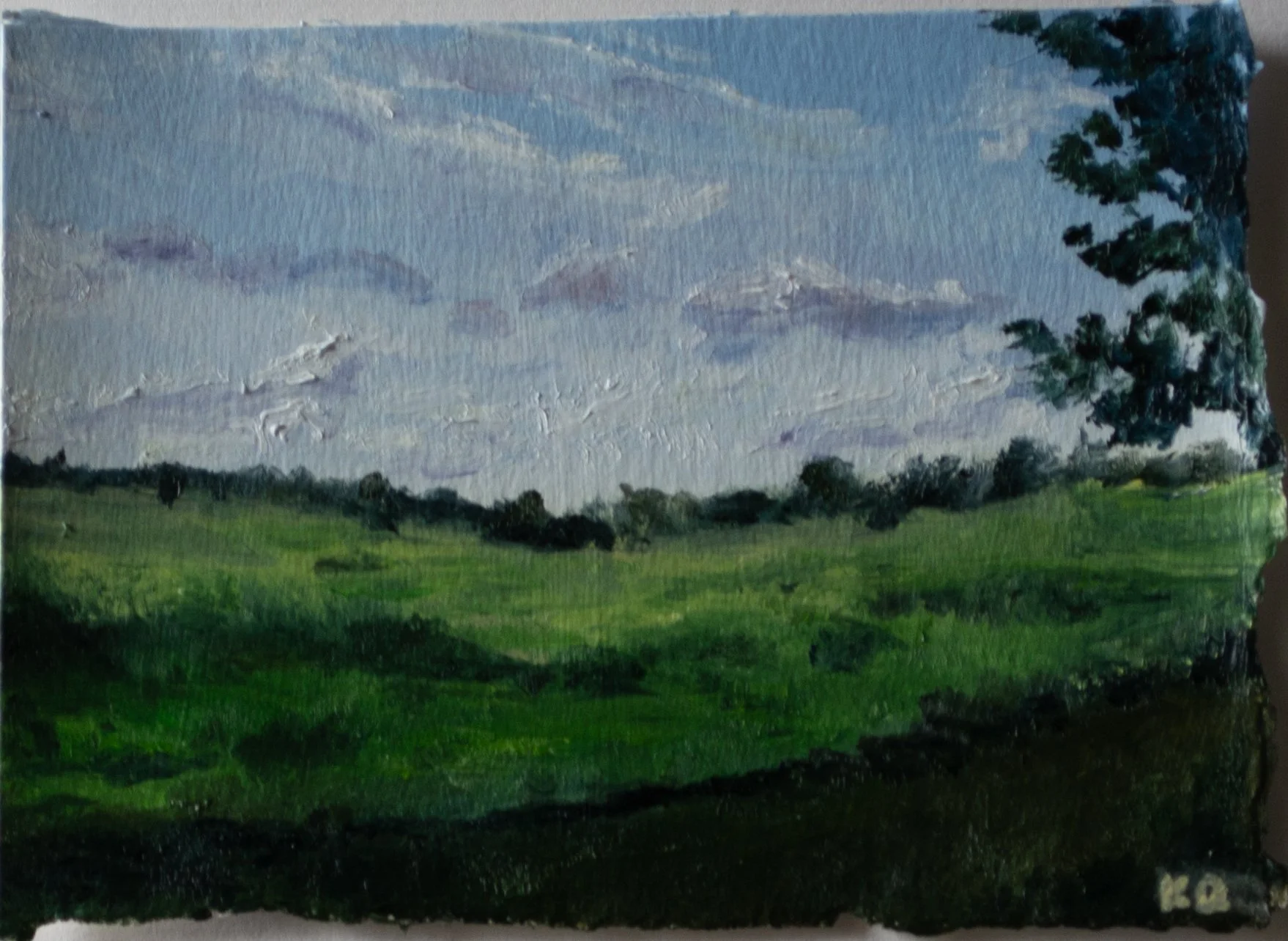 May Walk, 2025 jpeg.jpg