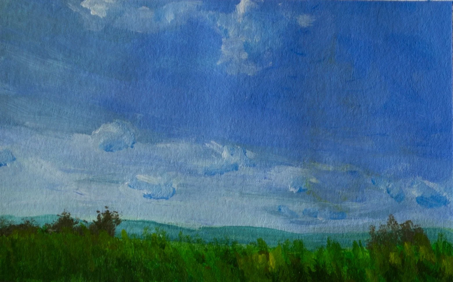 Late Summer, 2025 jpeg.jpg