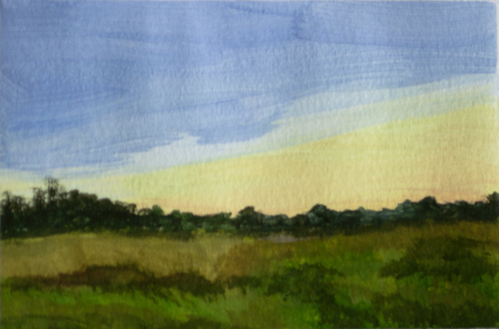 Late Summer Evening 2025 jpeg.jpg