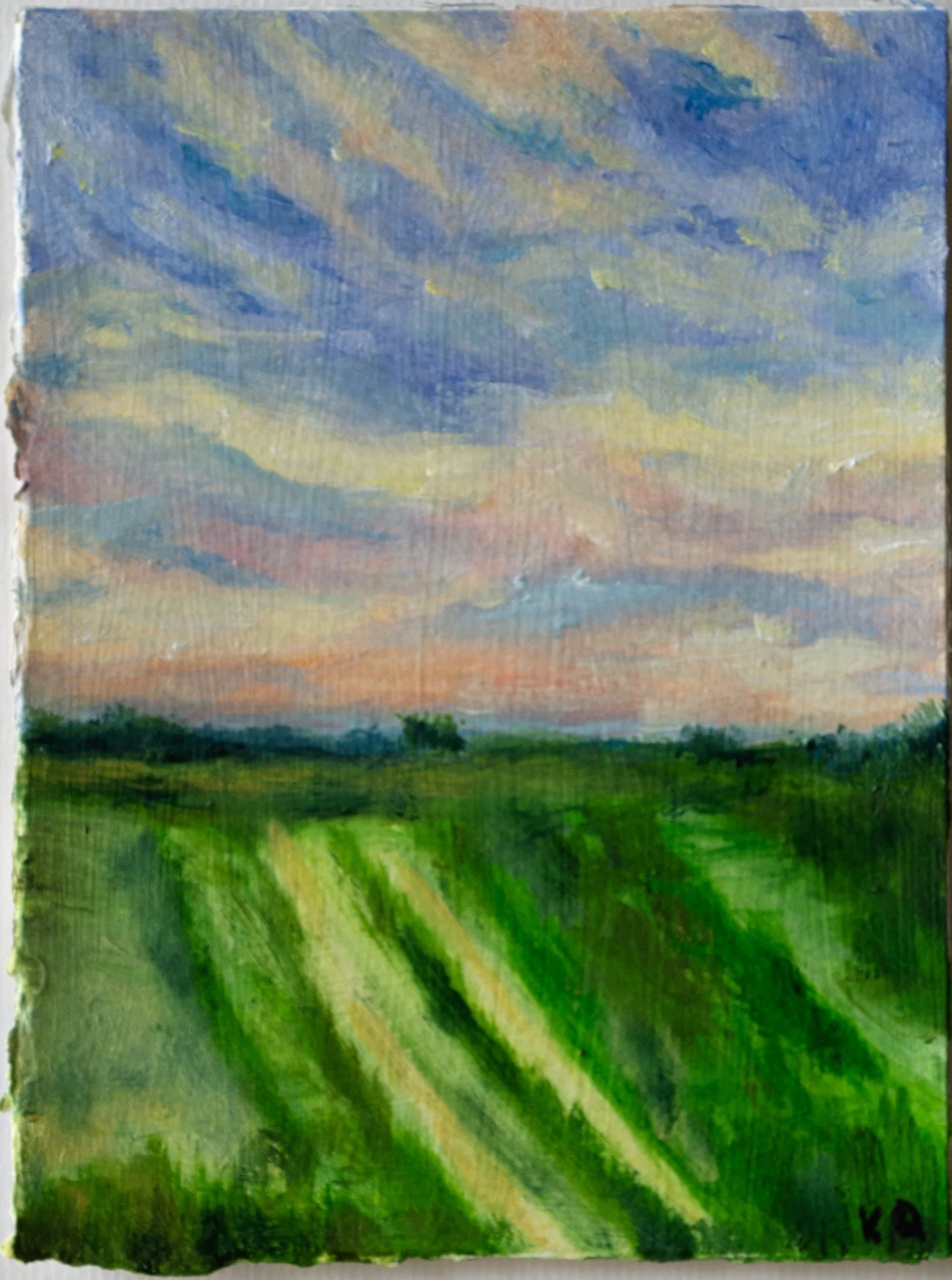 Summer Field, Evening 2025 jpeg.jpg