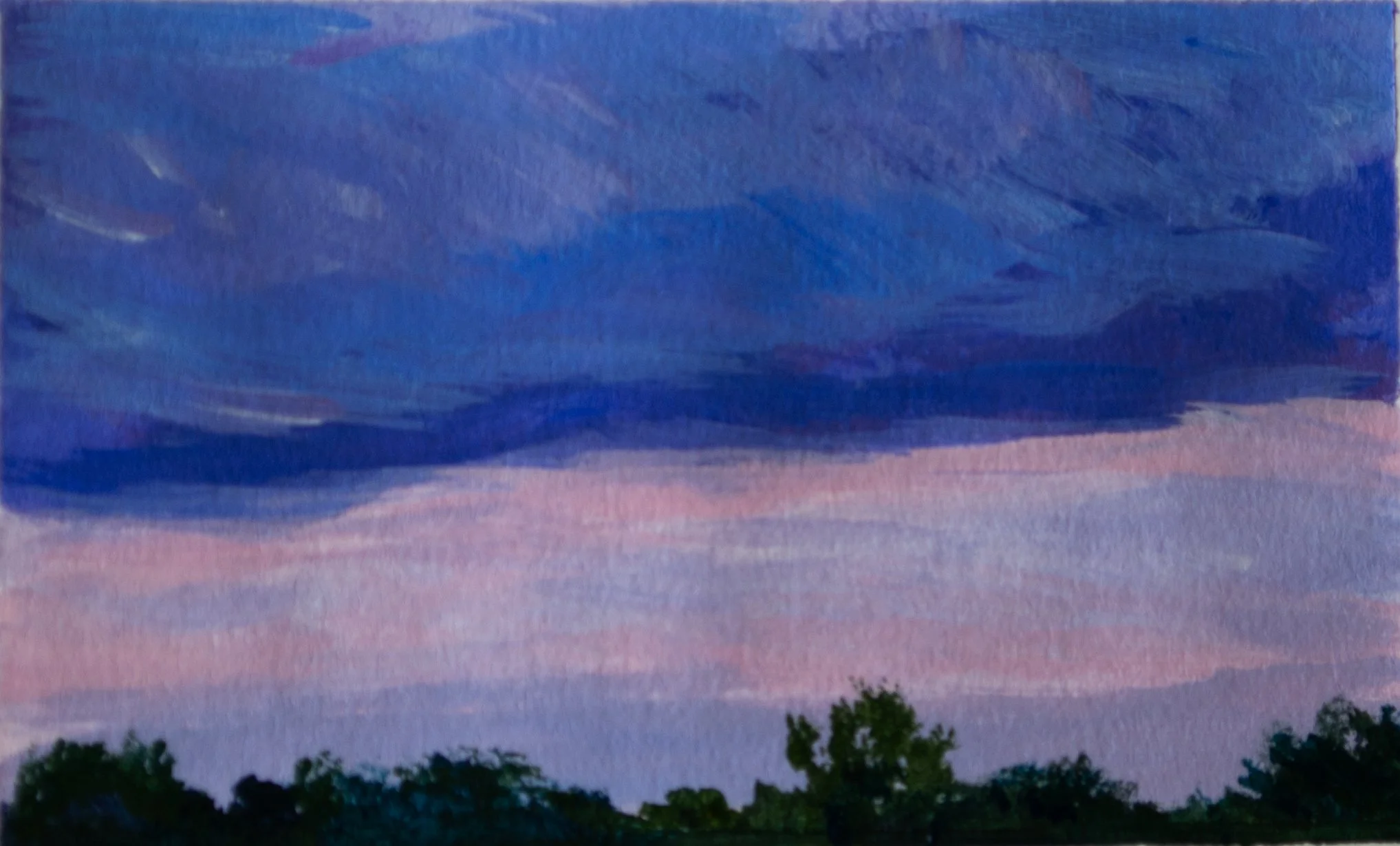 View from the Study 2025 jpeg.jpg