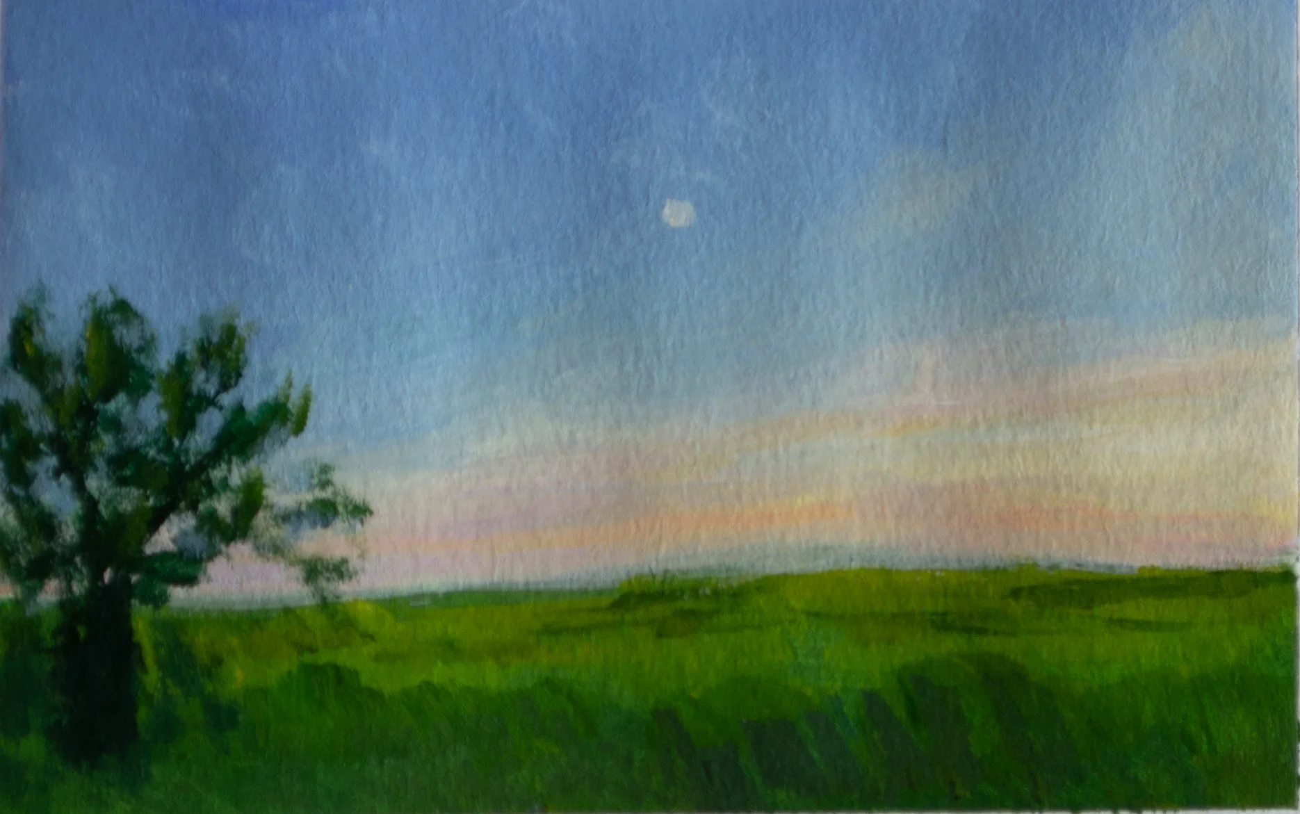 Full Moon, August 2025 jpeg.jpg