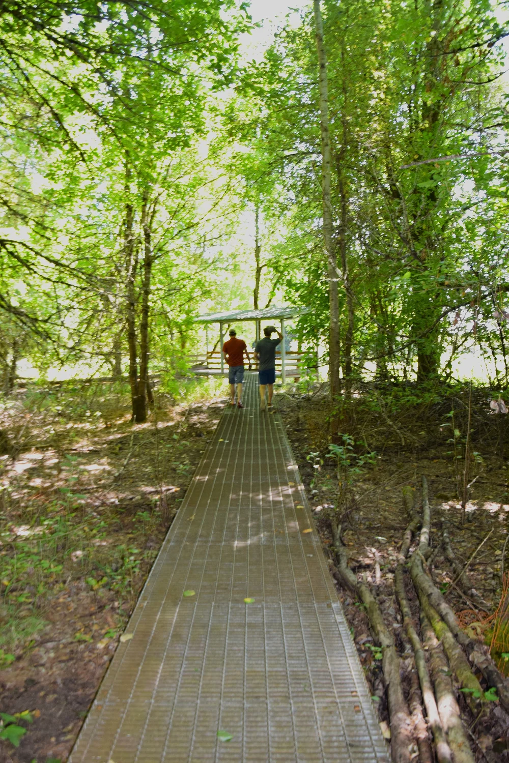 DSC_0013.JPG