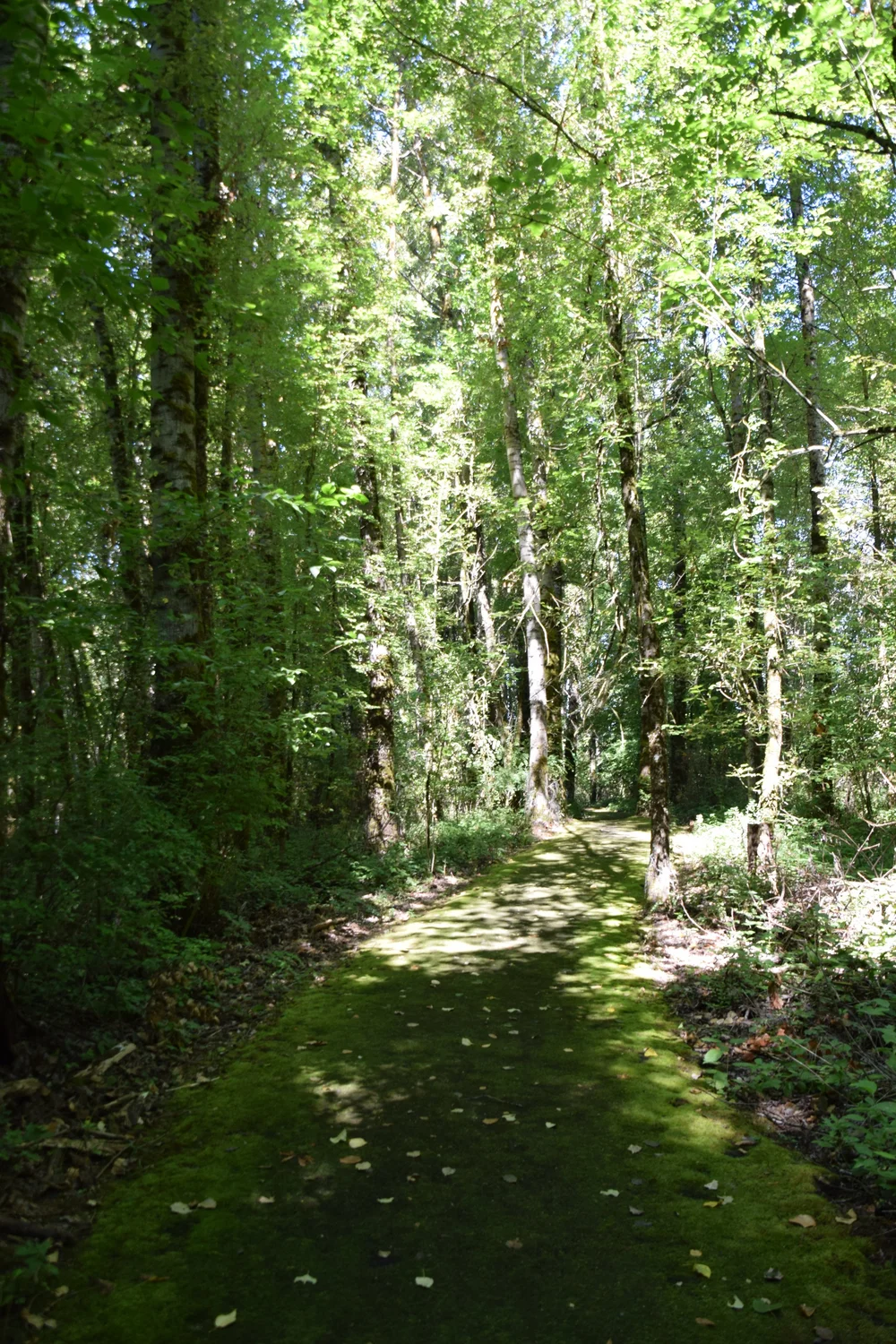 DSC_0012.JPG