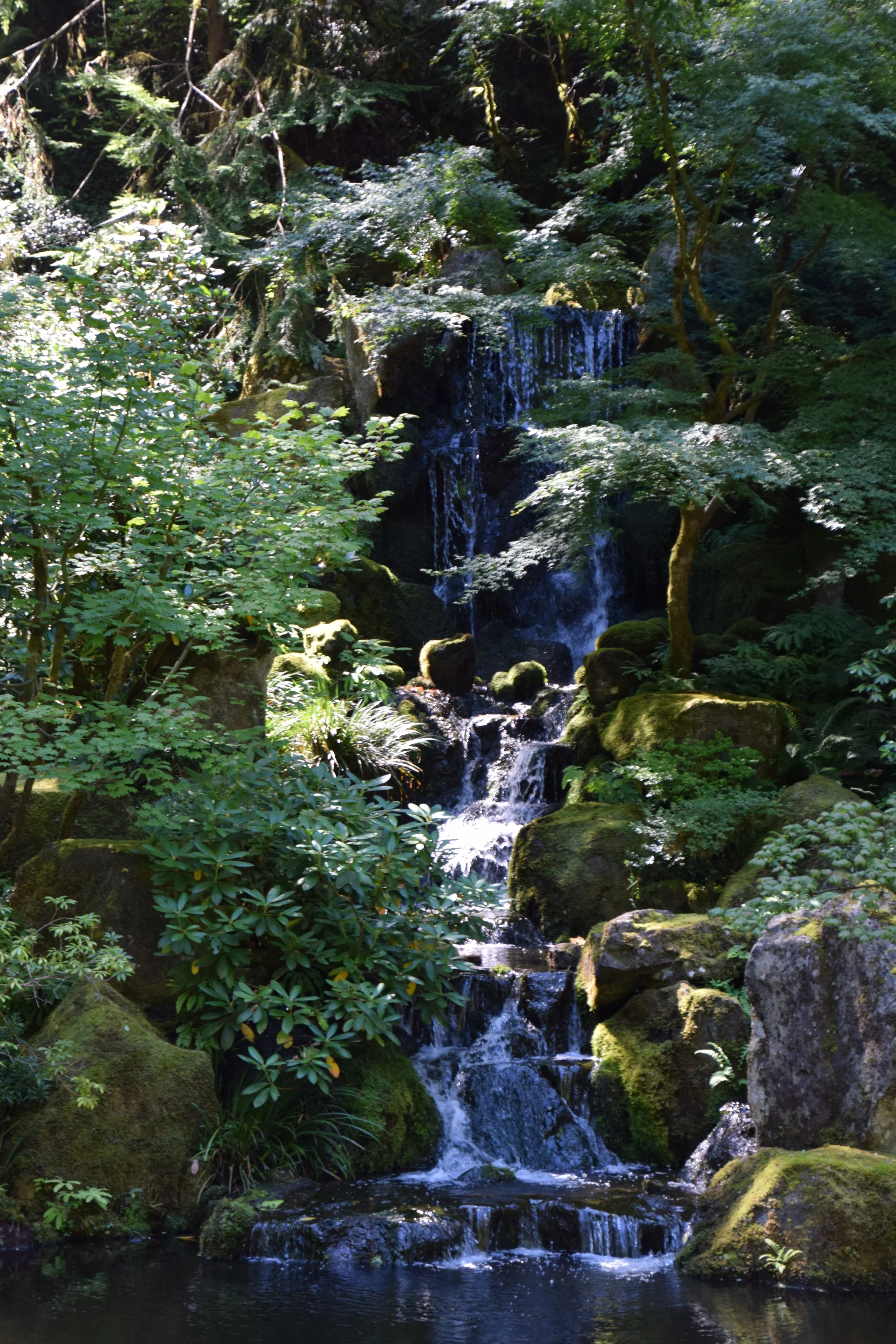 DSC_0022.JPG