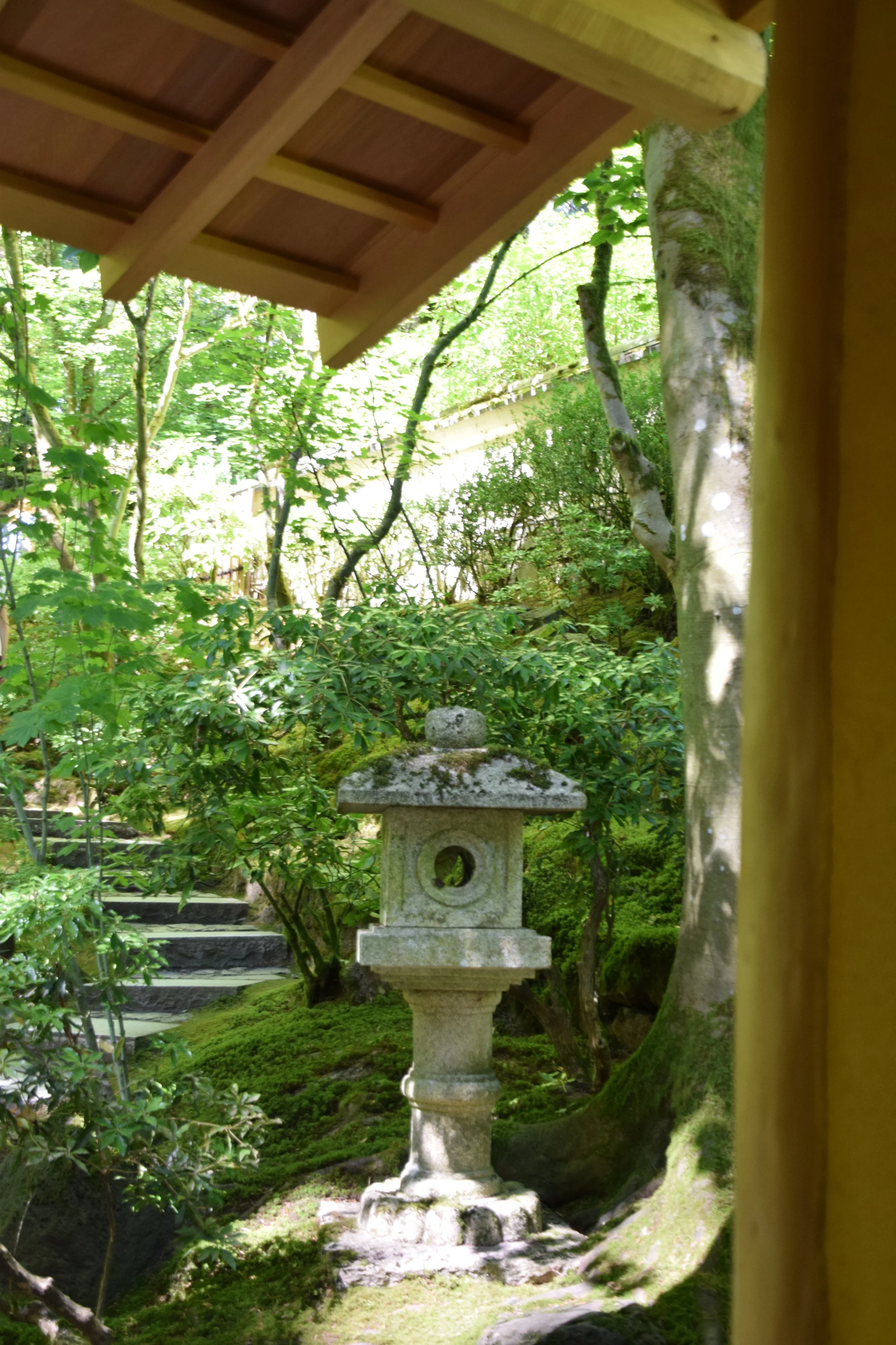 DSC_0024.JPG