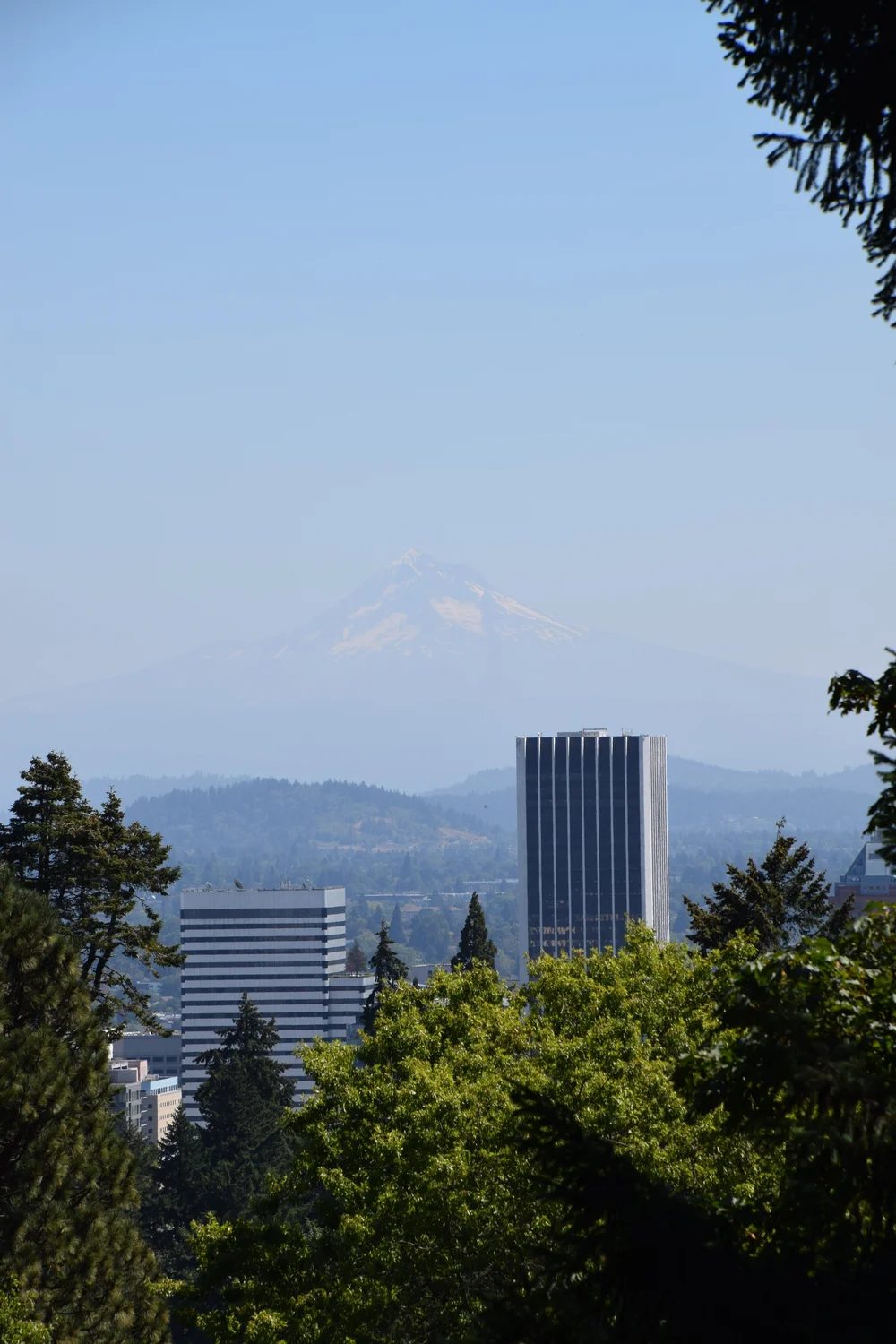 DSC_0030.JPG